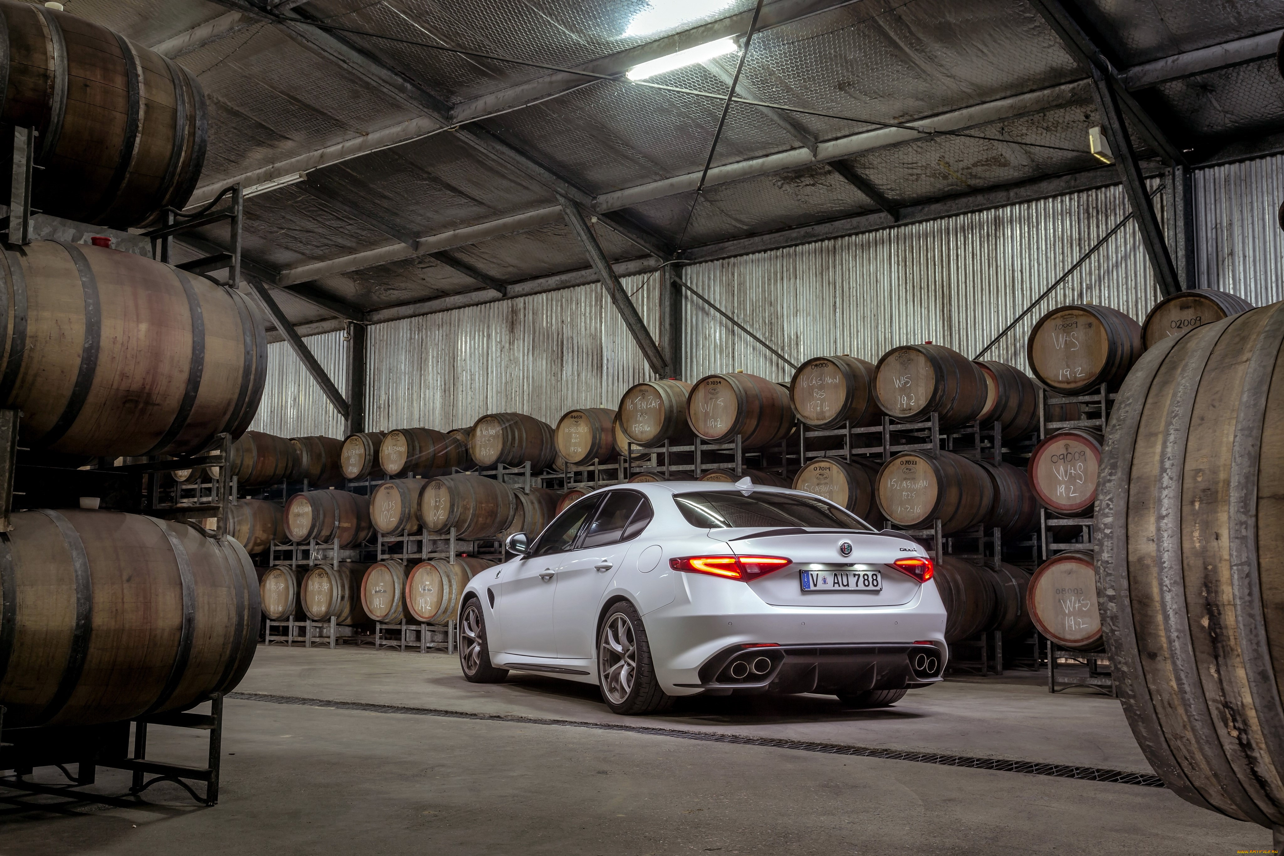 автомобили, alfa, romeo, alfa, romeo