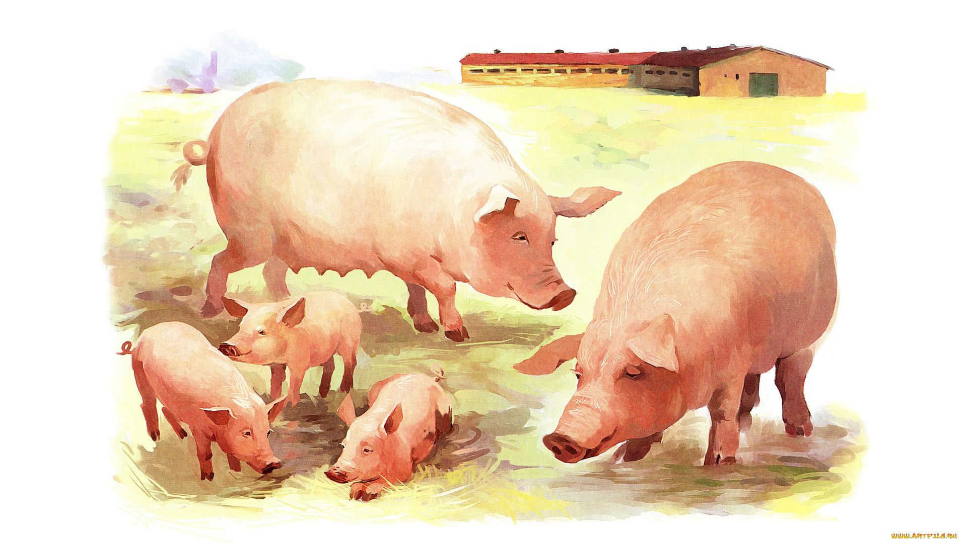 календари, рисованные, , векторная, графика, поросенок, свинья