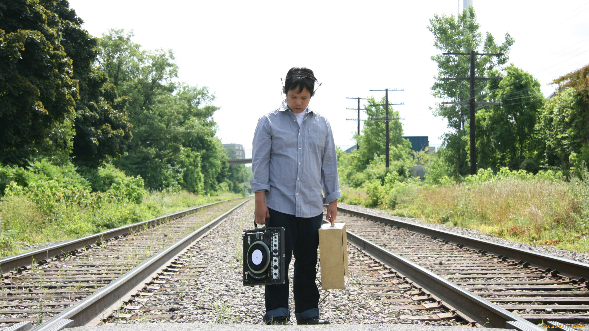 kid, koala, музыка, музыкант