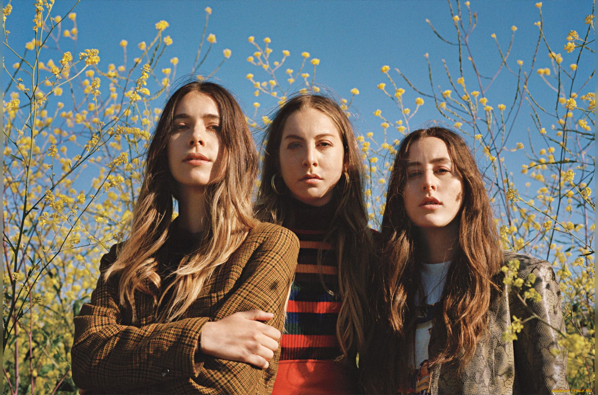 haim, музыка, группа