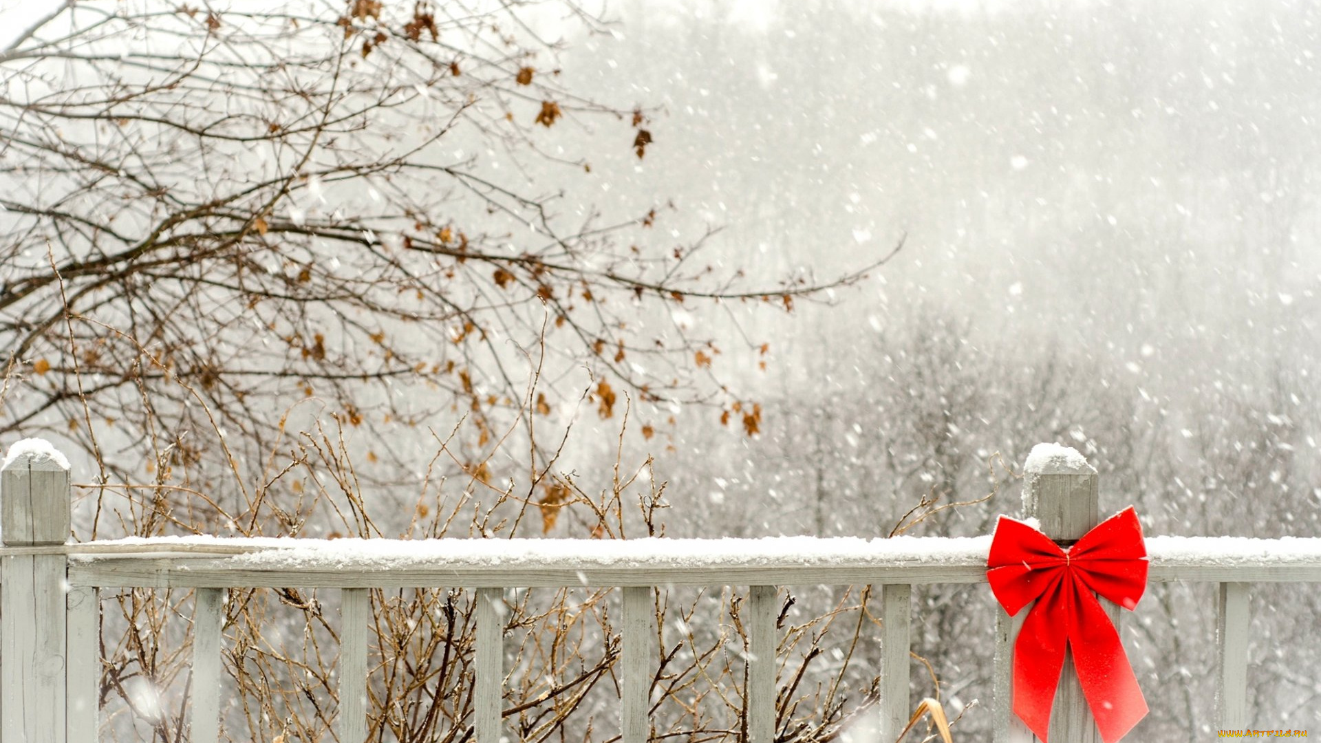природа, зима, деревья, снег, балкон, бант