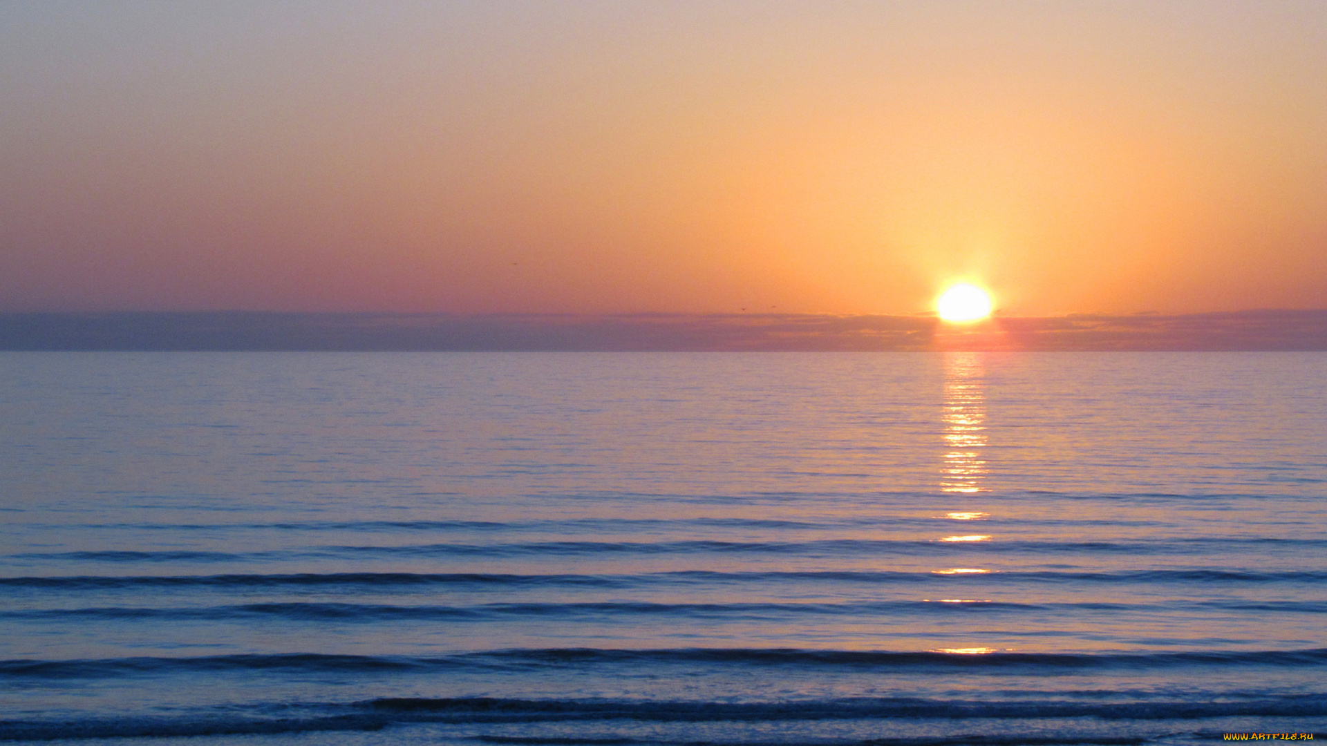 природа, восходы, закаты, восход, море, солнце