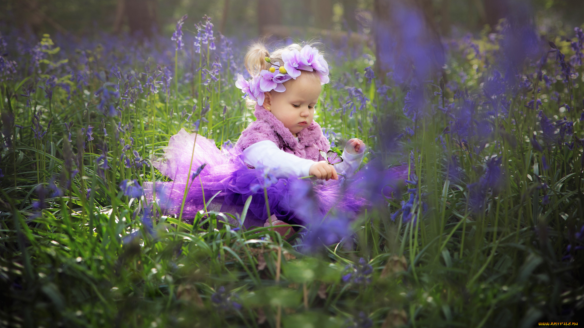 разное, дети, девочка, цветы, луг