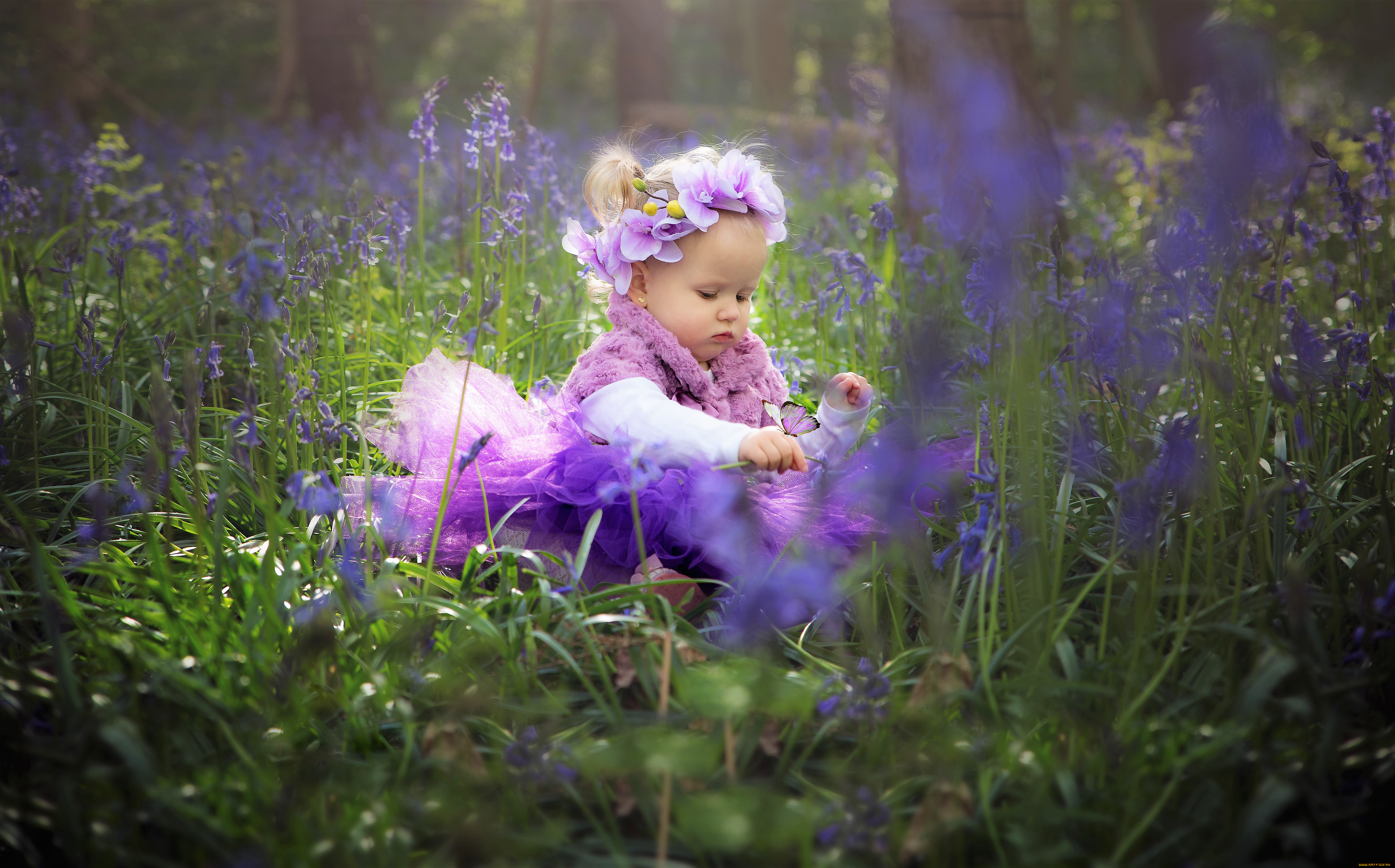 разное, дети, девочка, цветы, луг