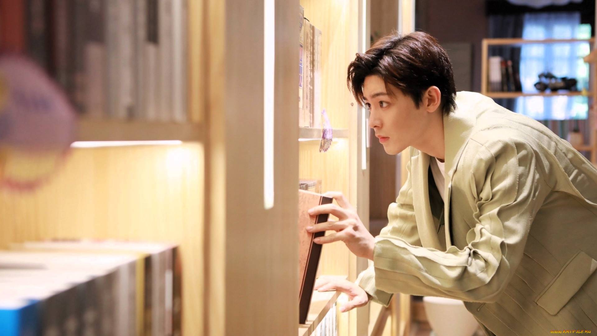 мужчины, hou, ming, hao, актер, куртка, библиотека, полки, книги