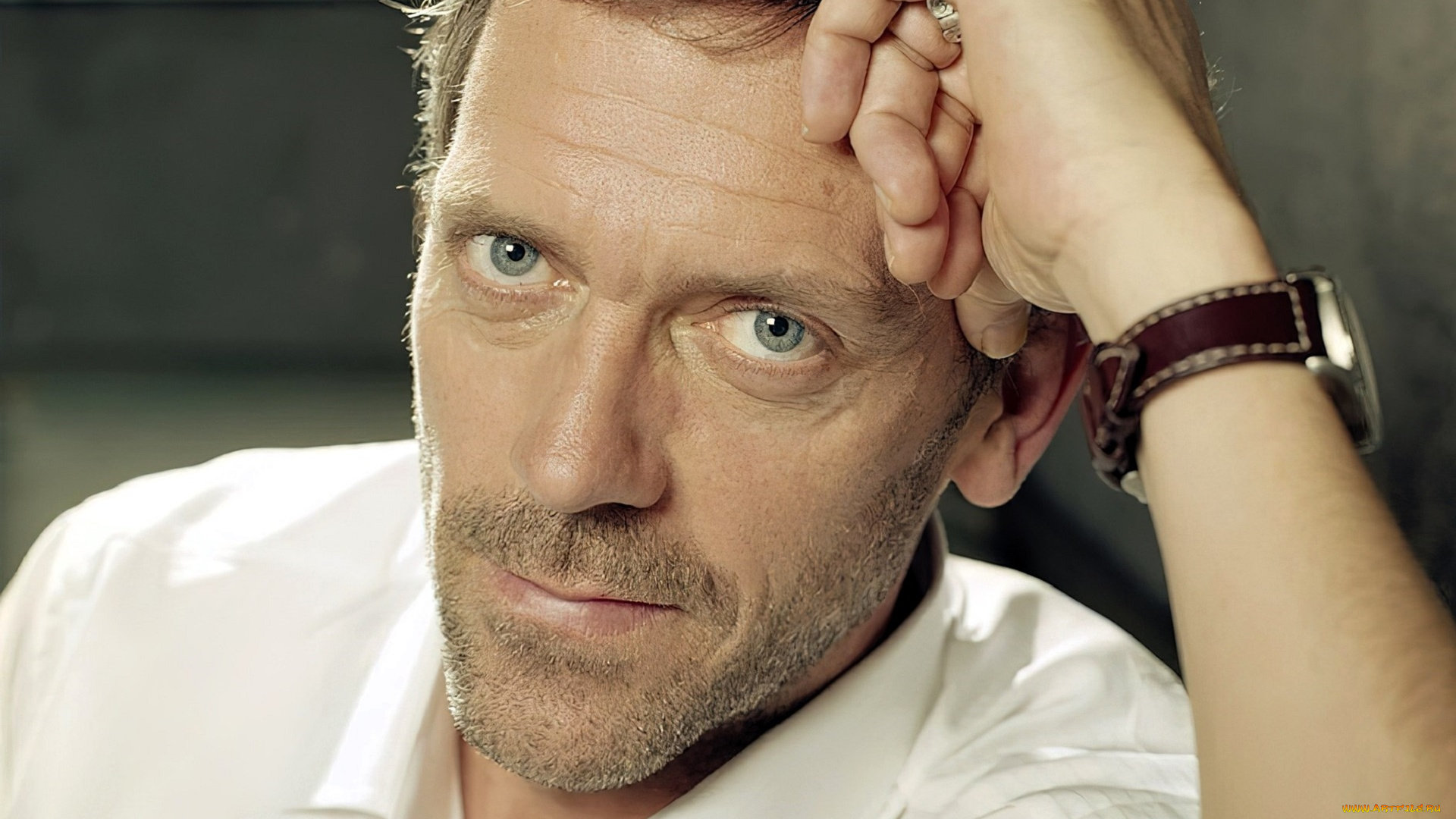 мужчины, hugh, laurie, актер, лицо