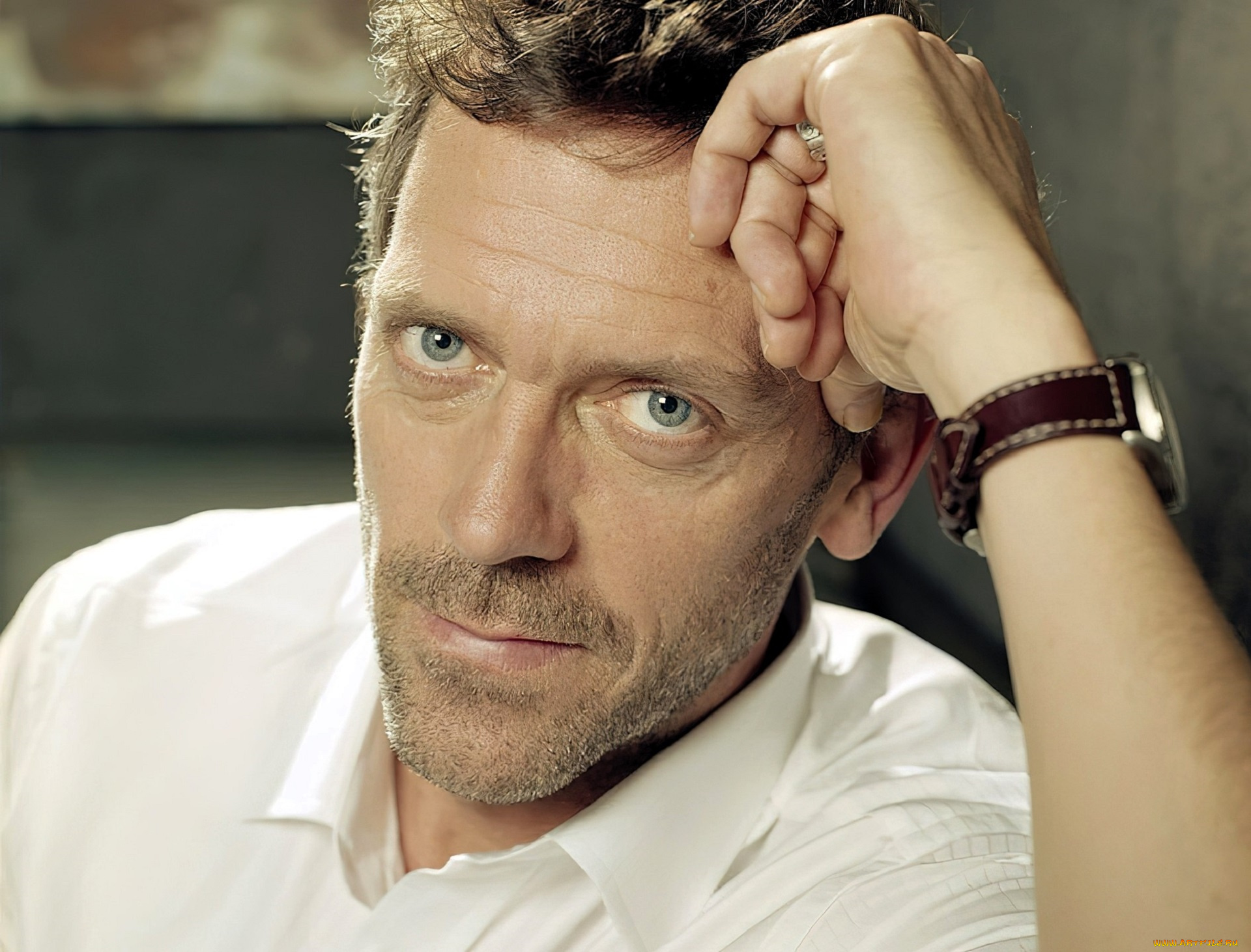 мужчины, hugh, laurie, актер, лицо