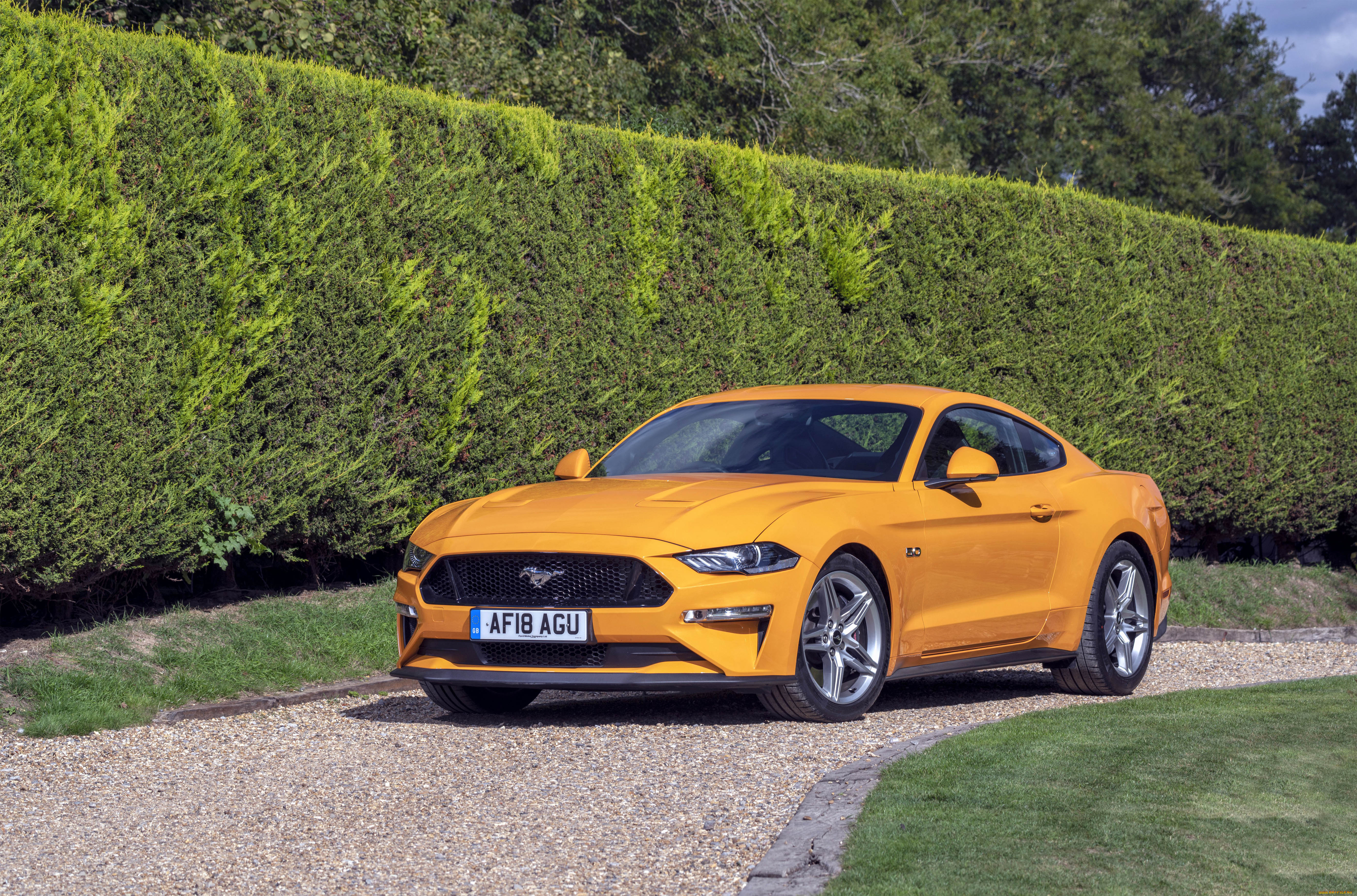 автомобили, mustang