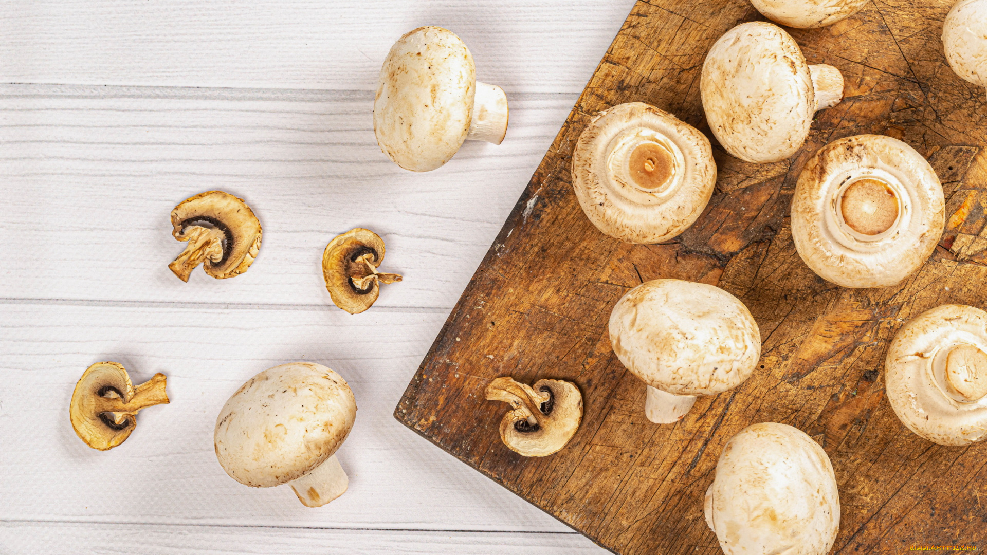 еда, грибы, , грибные, блюда, шампиньоны