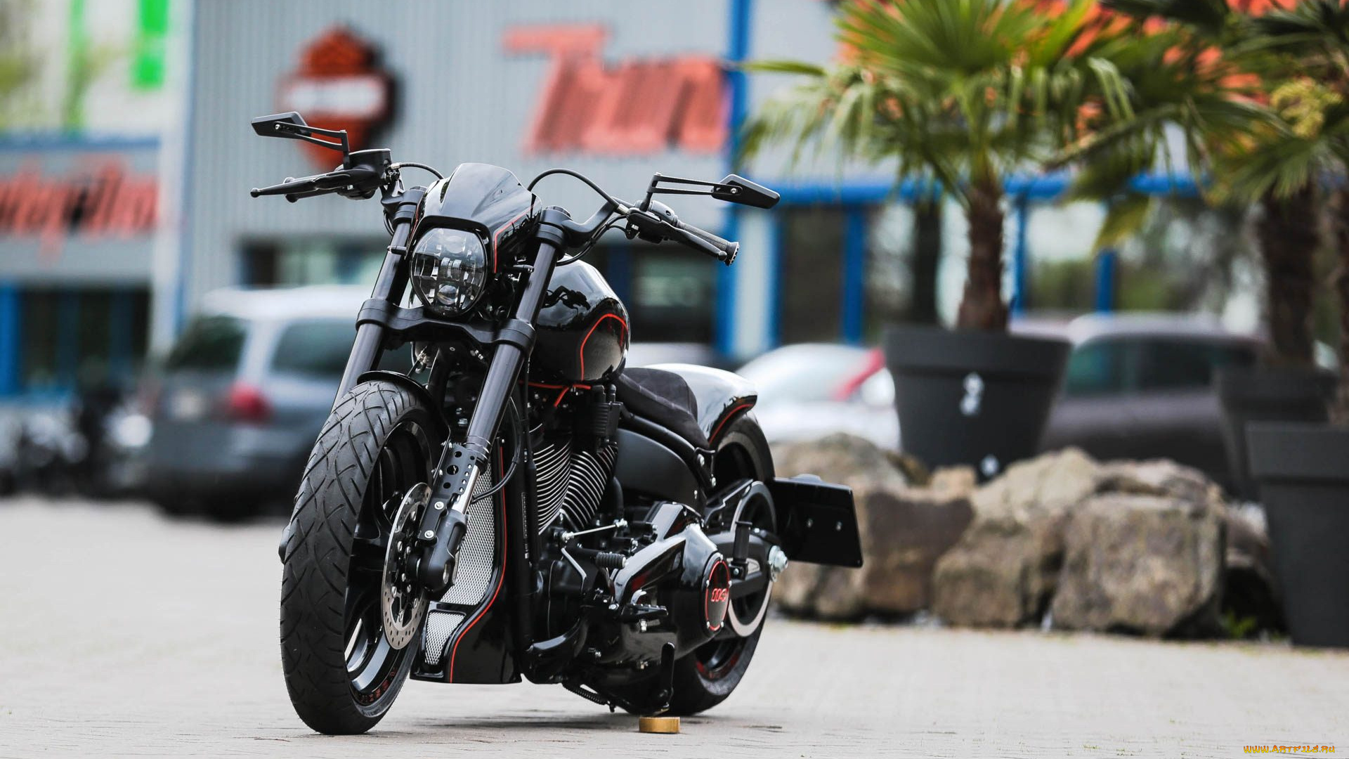 харлей, мотоциклы, harley-davidson, мотоцикл, байк