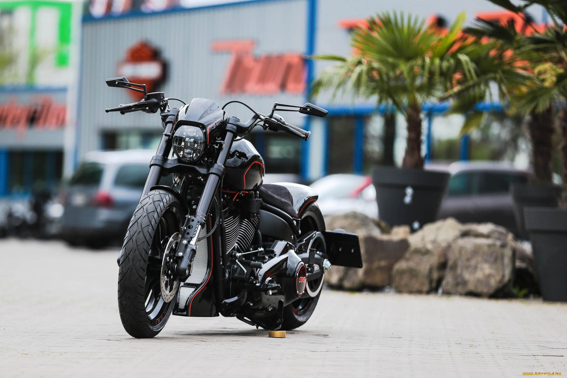 харлей, мотоциклы, harley-davidson, мотоцикл, байк