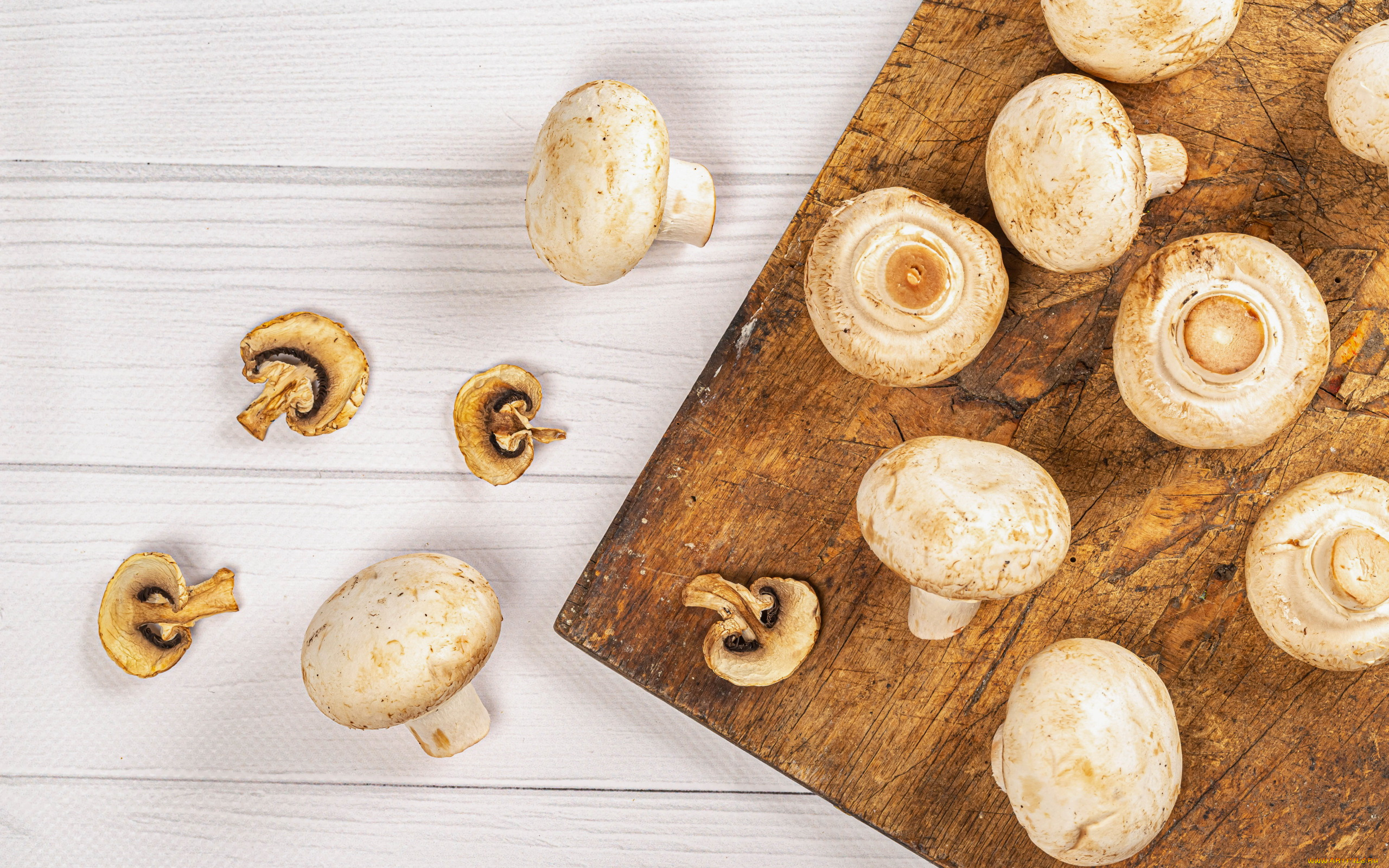 еда, грибы, , грибные, блюда, шампиньоны