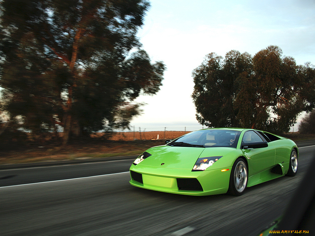 автомобили, lamborghini