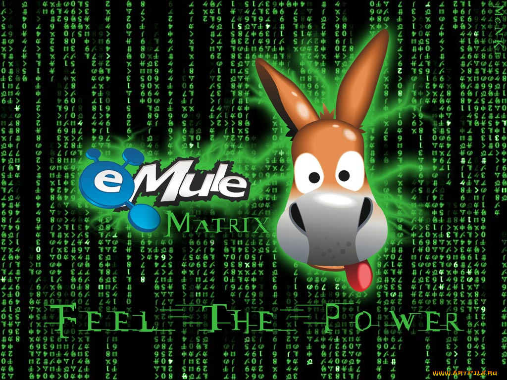 компьютеры, emule
