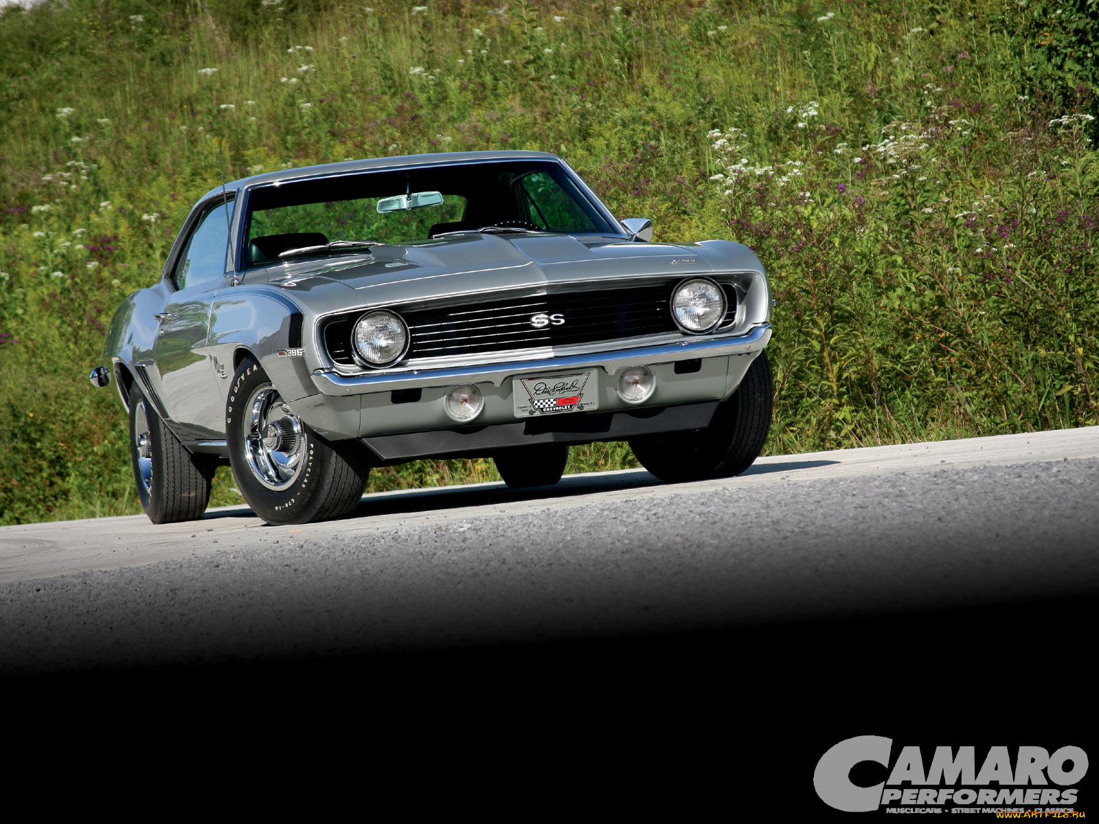 автомобили, camaro