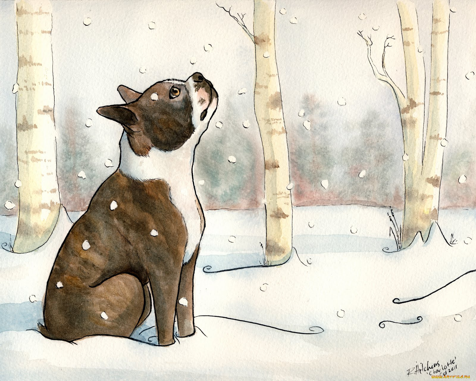 рисованные, животные, собаки, собака