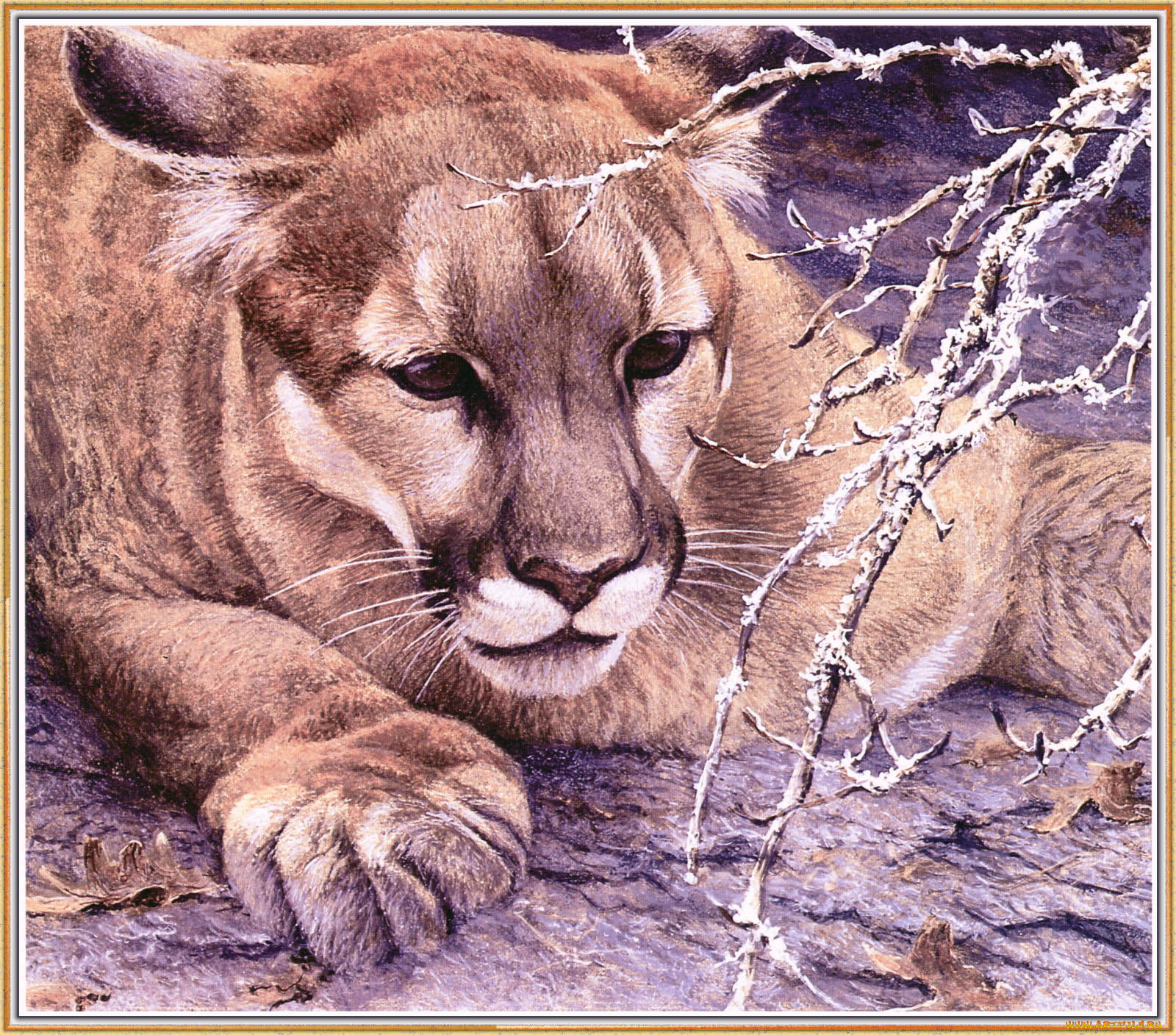 robert, bateman, рисованные, пума, кугуар