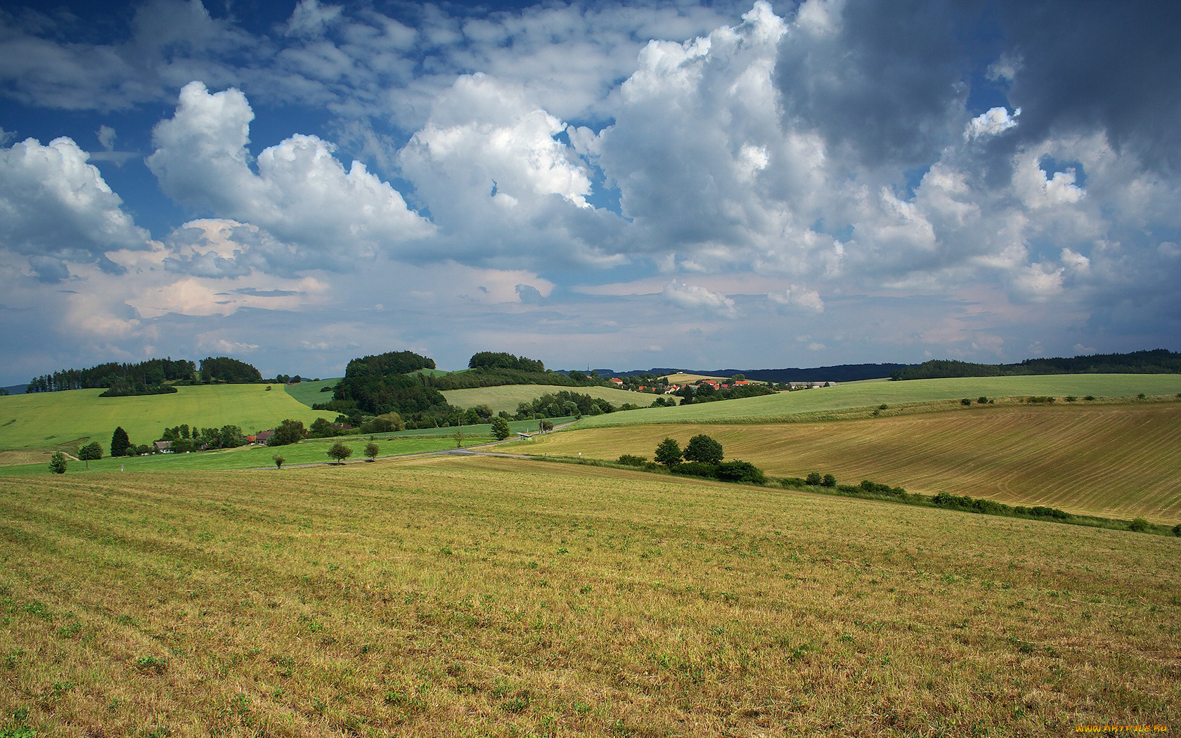 природа, поля, деревня, деревья