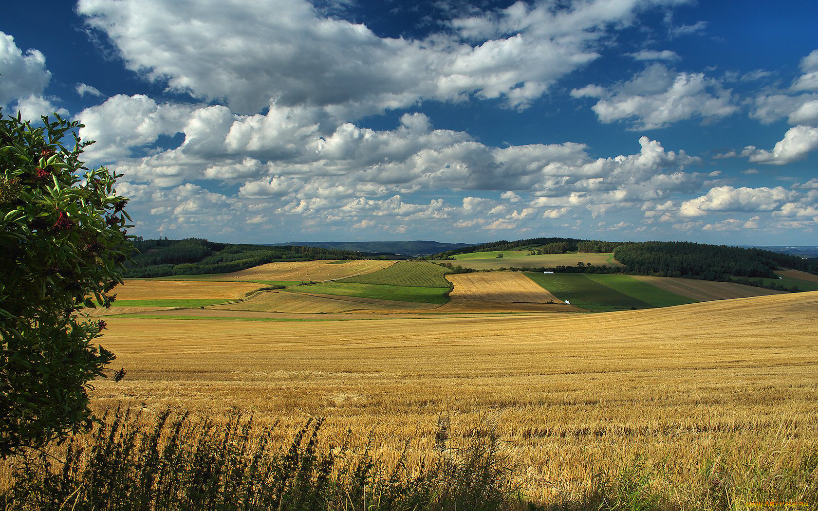 природа, поля, облака