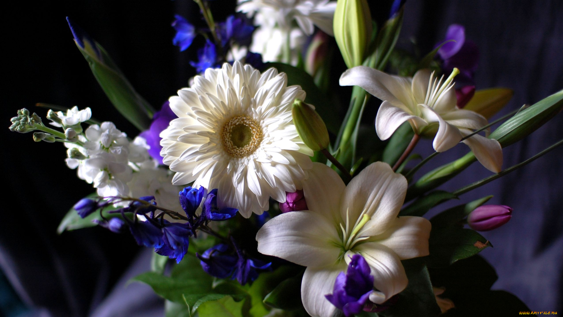 цветы, букеты, композиции, тюльпан, левкой, лилии, герберы