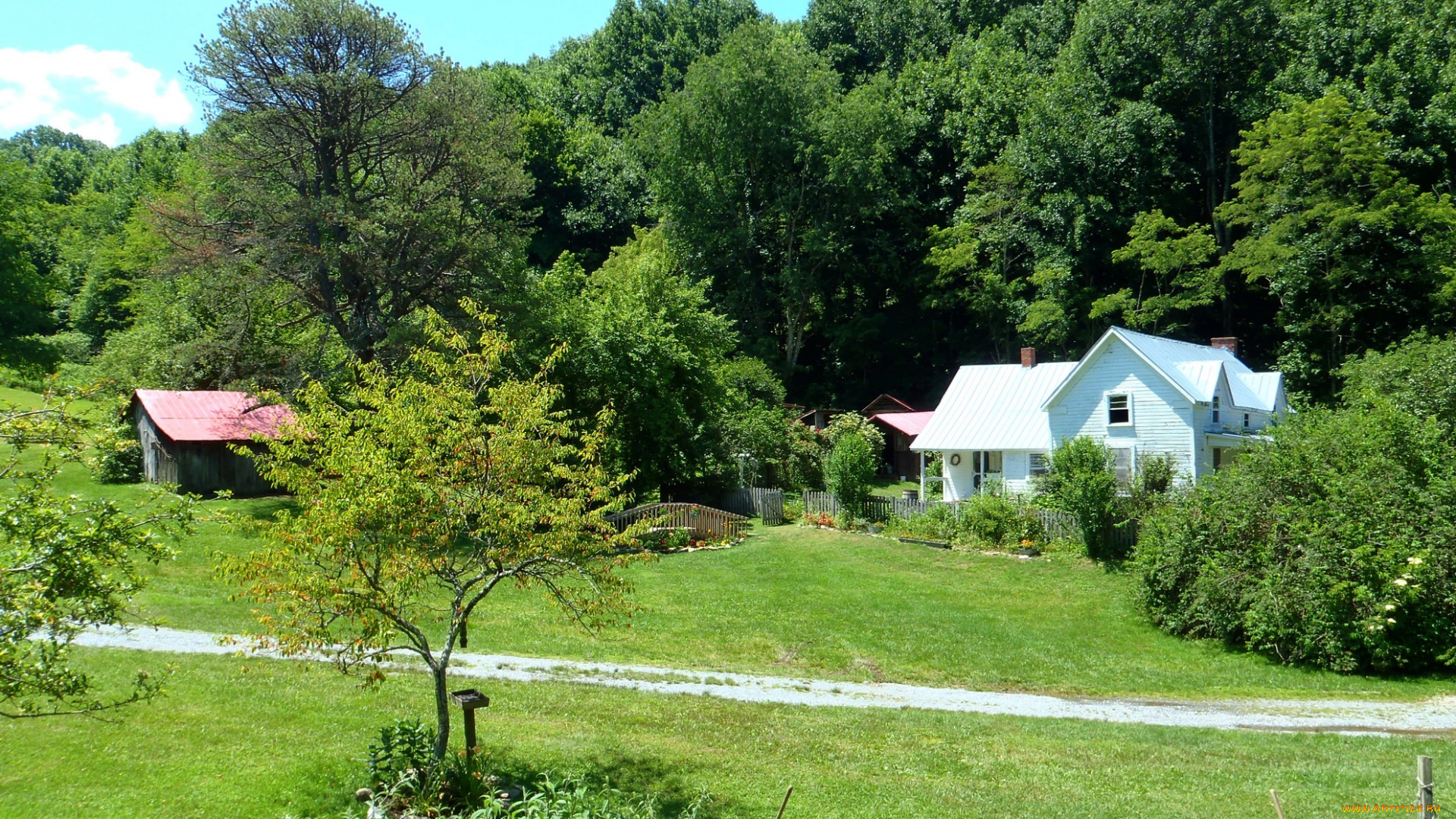 roan, mountain, state, park, природа, парк, сша