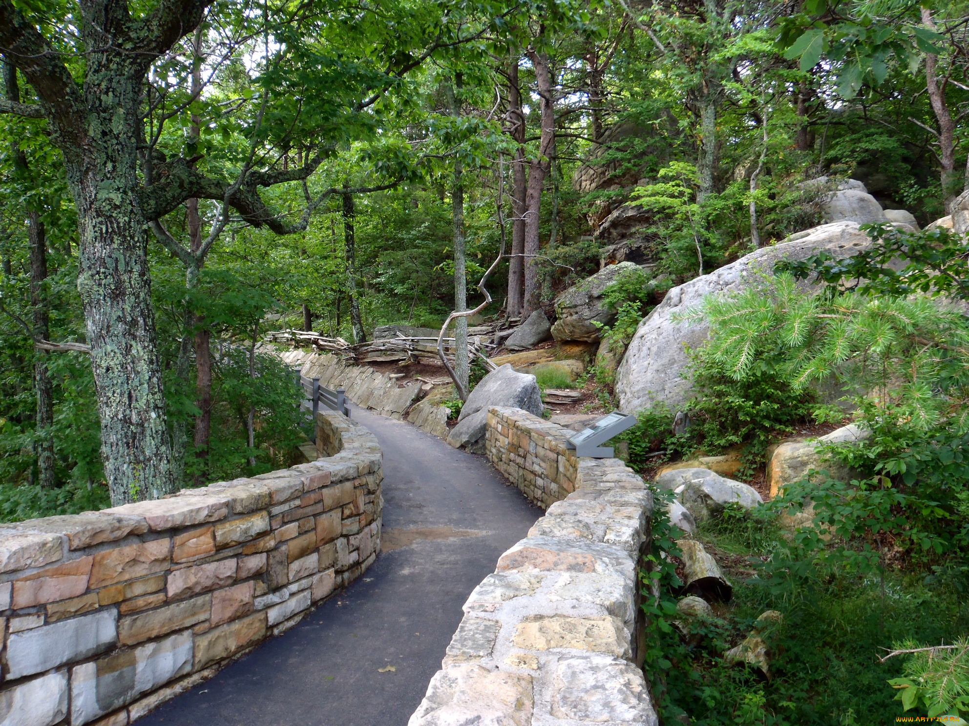 path, to, the, observation, deck, cumberland, gap, tn, природа, дороги, сша