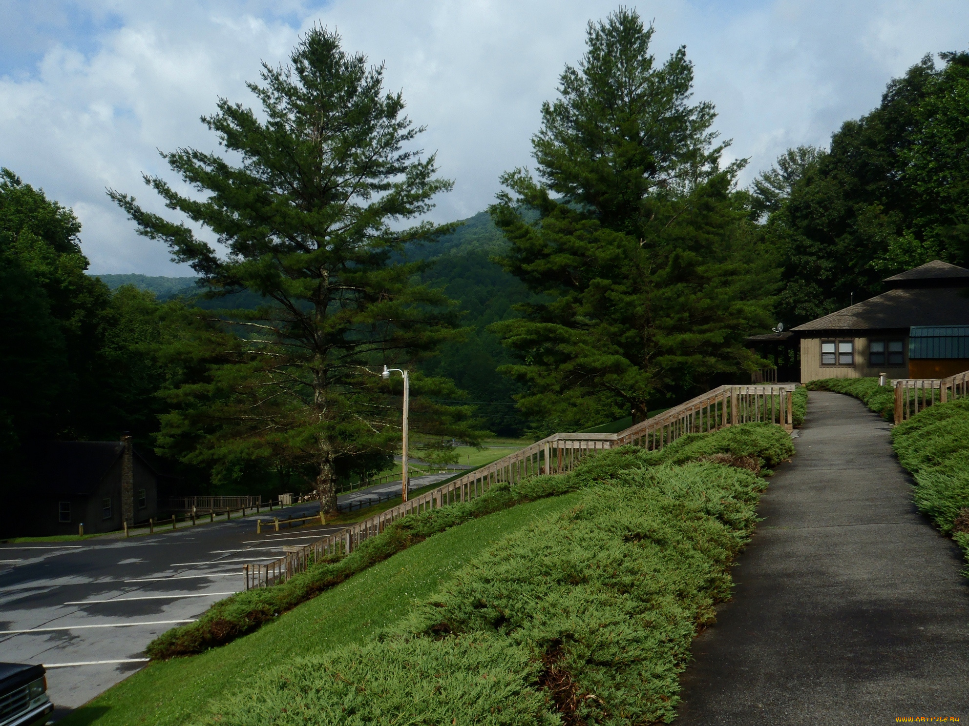 roan, mountain, state, park, природа, парк, сша