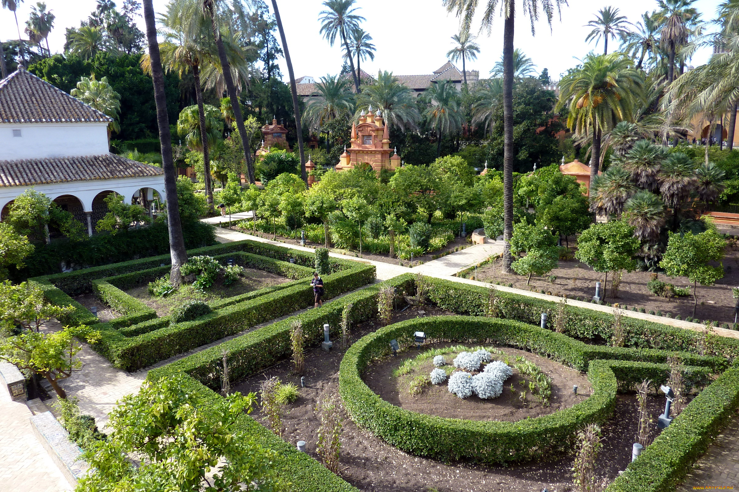 природа, парк, gardens, real, alcazar, de, sevilla, испания