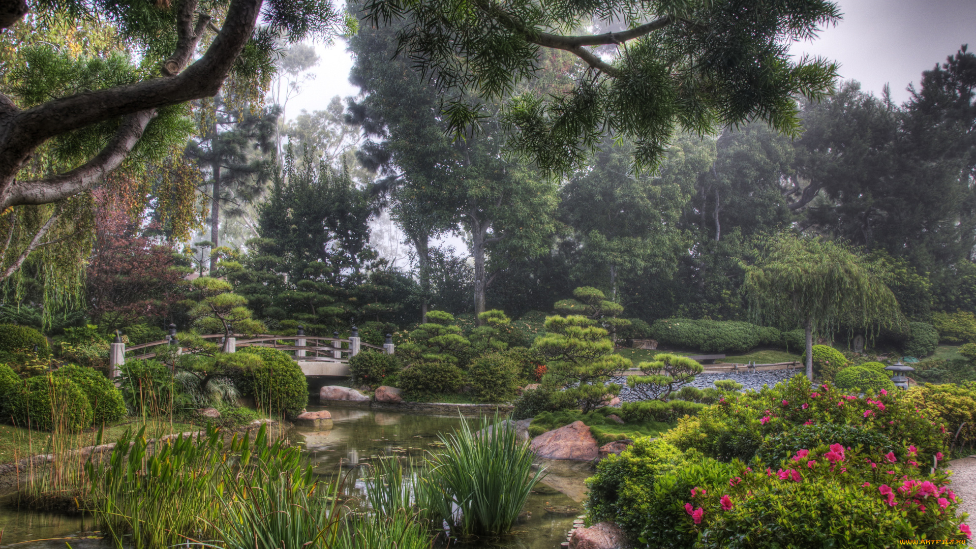 earl, burns, miller, japanese, garden, california, usa, природа, парк, растения, японский, сад