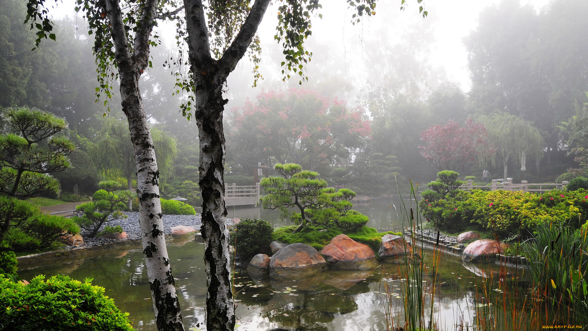 earl, burns, miller, japanese, garden, california, usa, природа, парк, водоем, растения