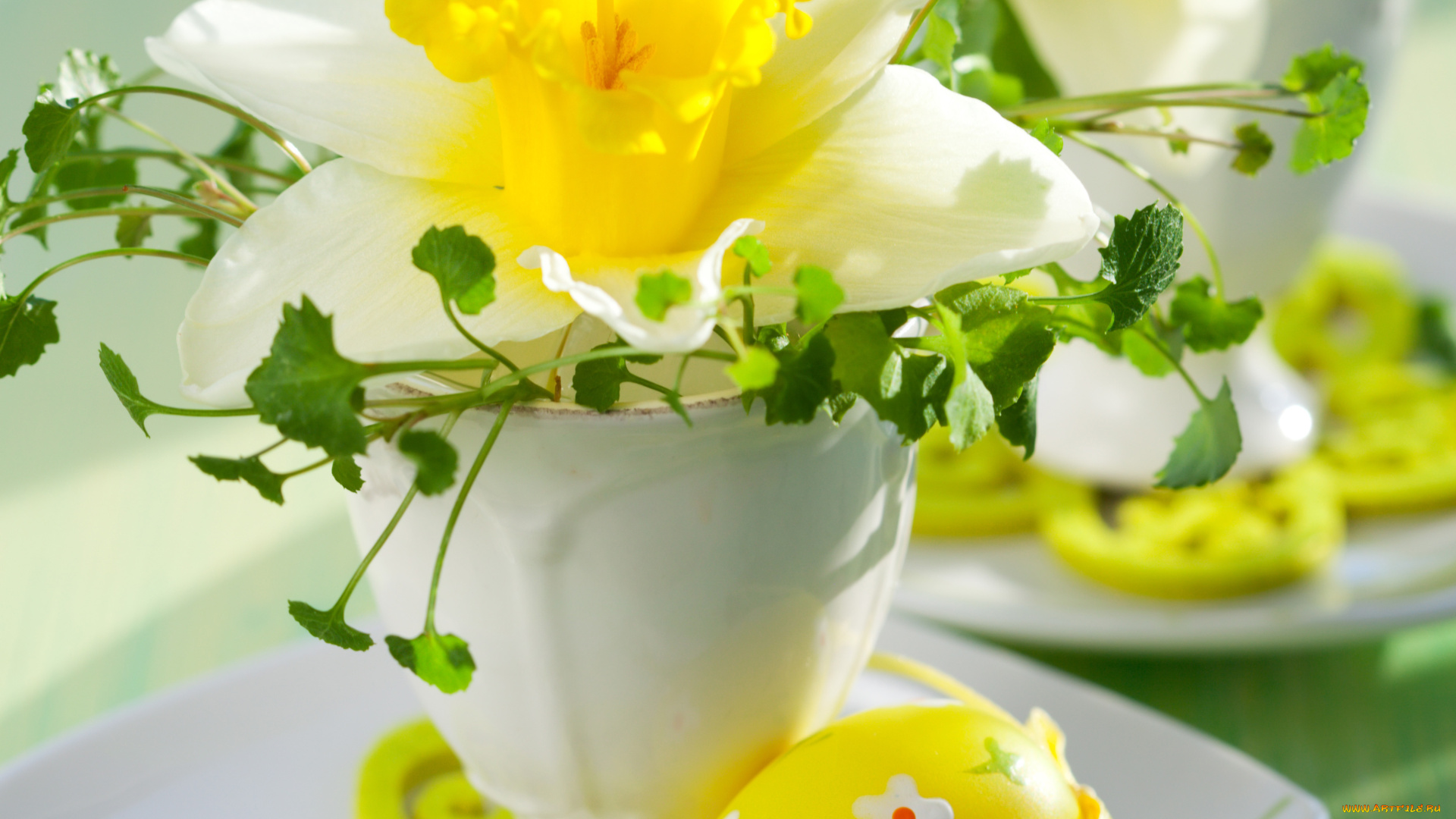 праздничные, пасха, ваза, нарцисс, писанка