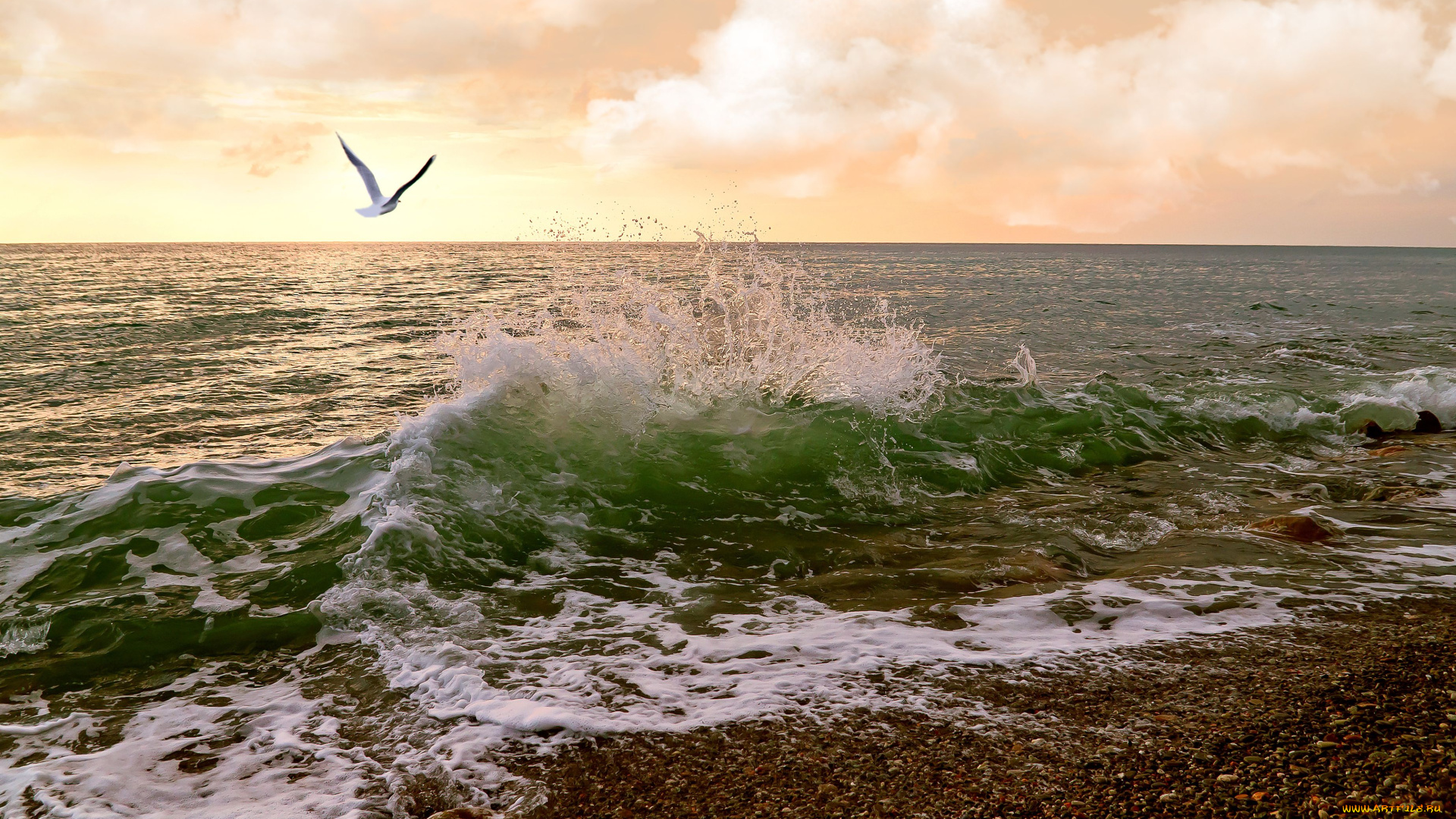 природа, моря, океаны, море, волна, чайка, галька