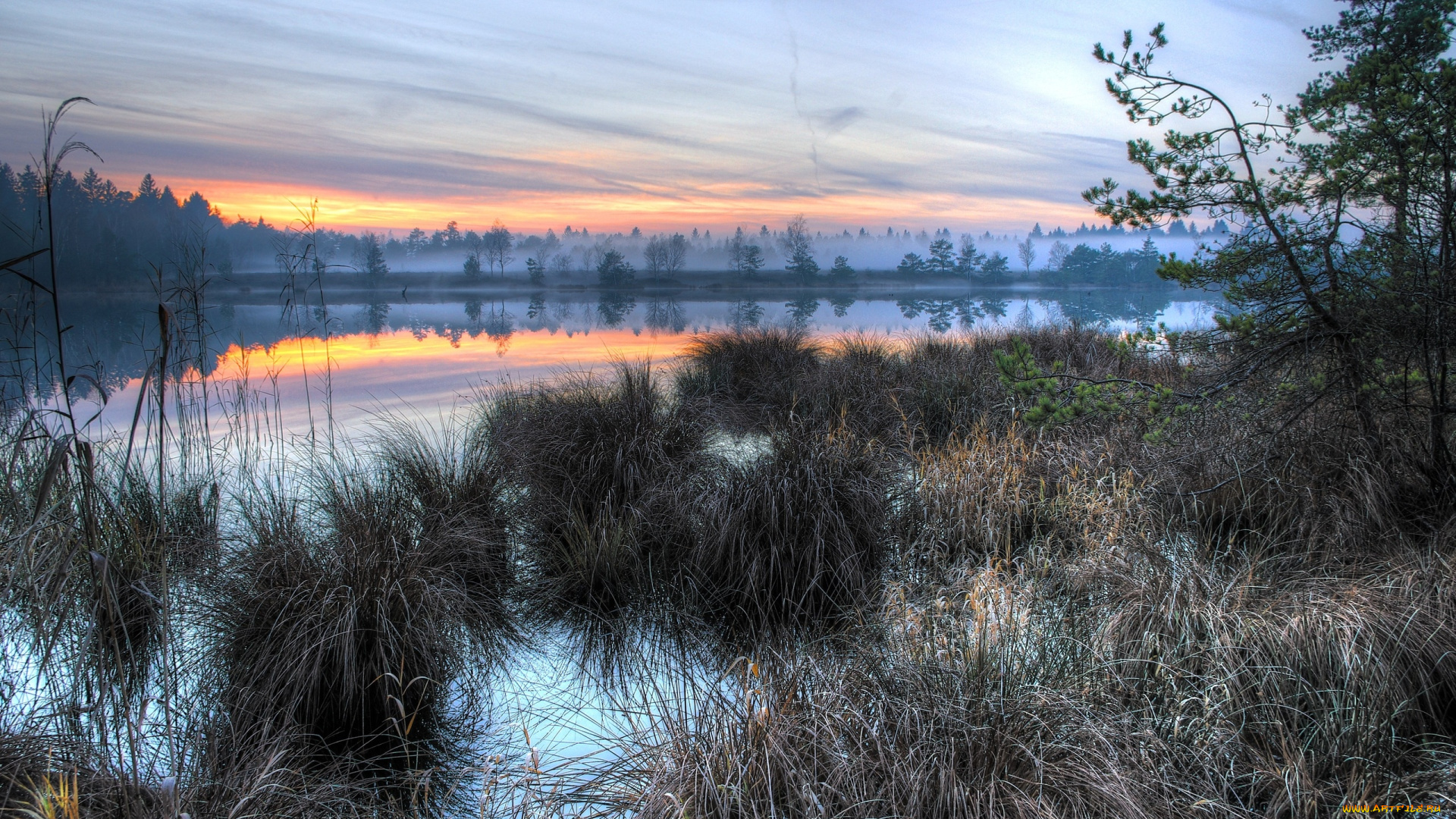 природа, реки, озера, река, трава, тучи