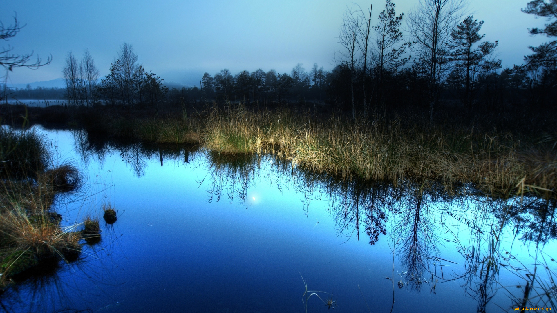 природа, реки, озера, вечер, река, камыш