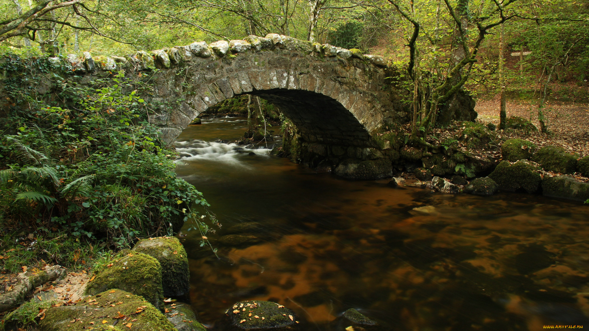 природа, реки, озера, вода, мост