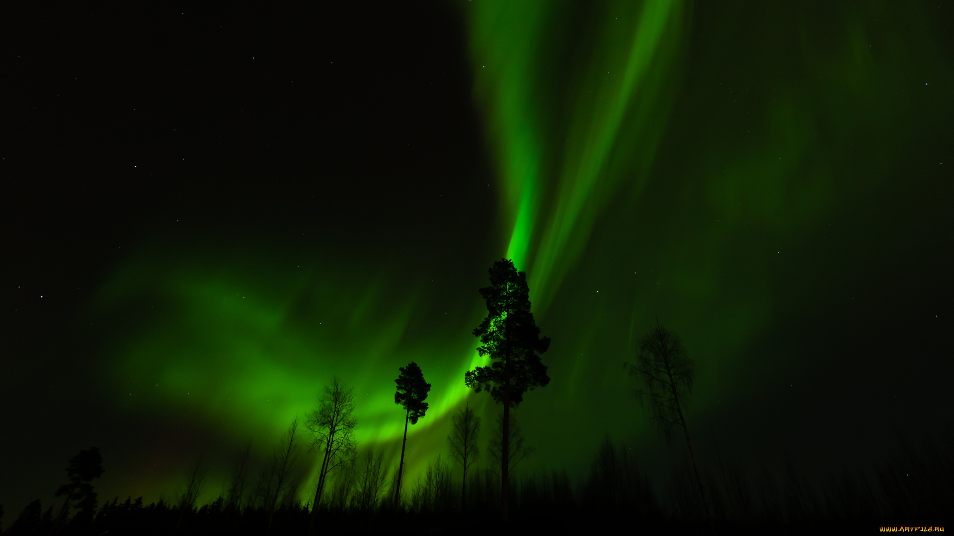 природа, северное, сияние, небо, звезды, ночь, деревья