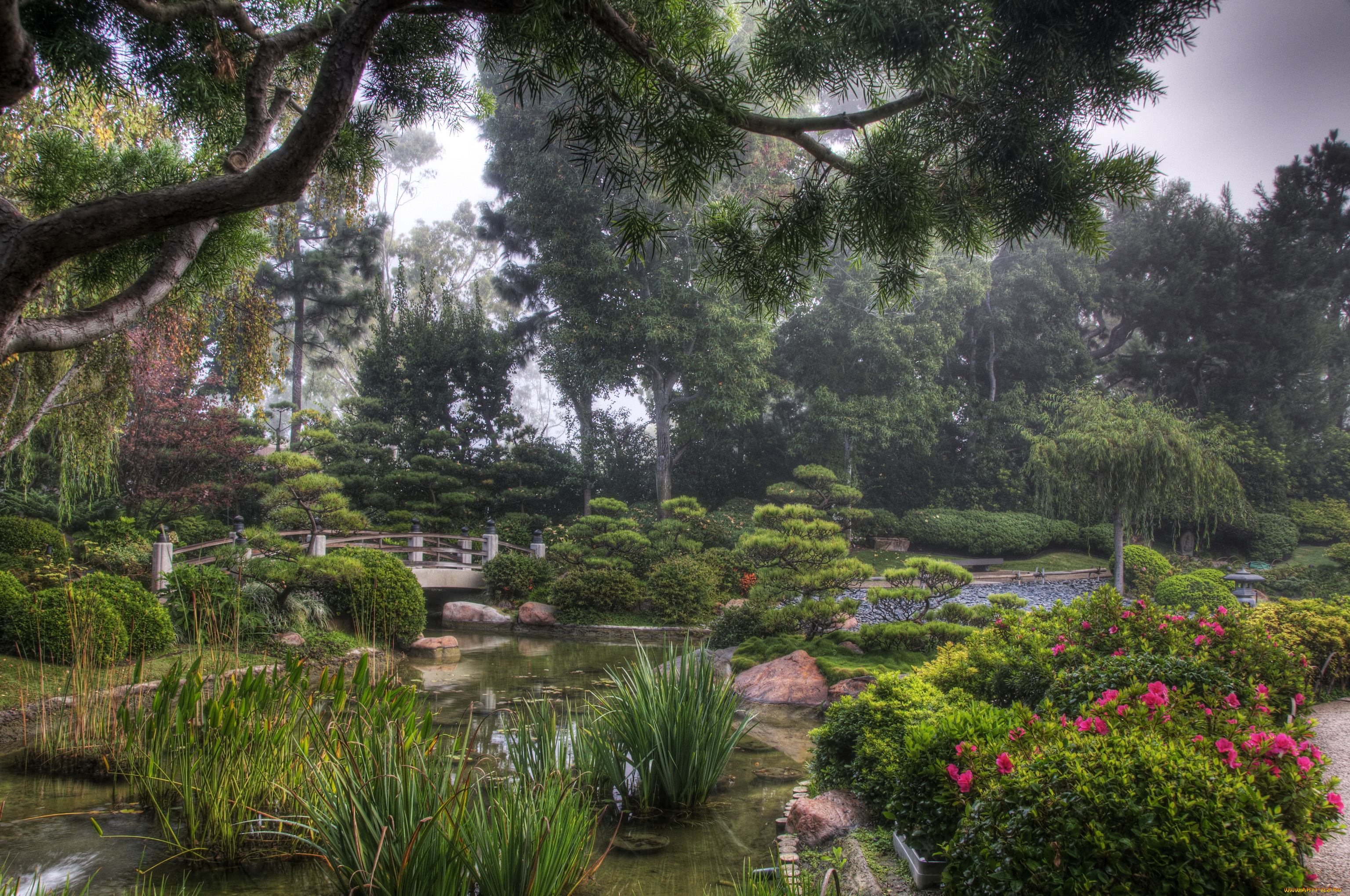 earl, burns, miller, japanese, garden, california, usa, природа, парк, растения, японский, сад