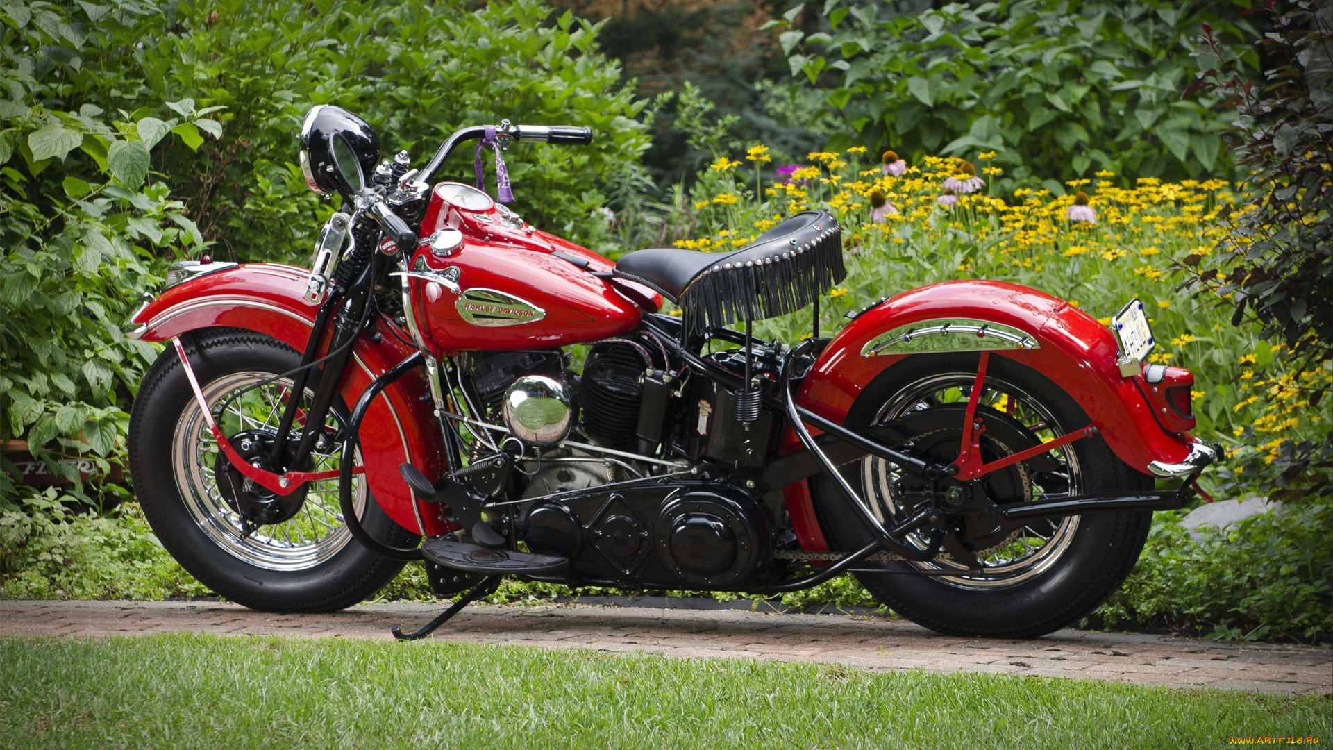 мотоциклы, harley-davidson, harley