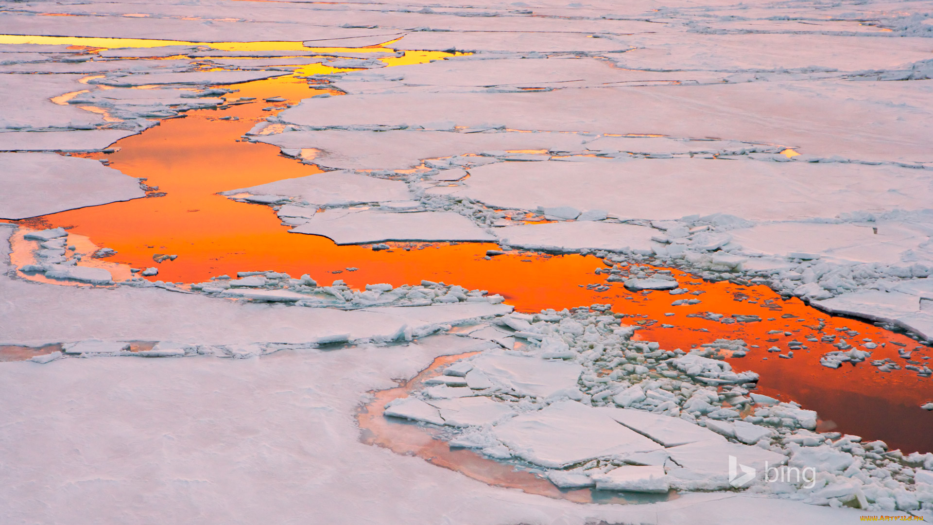 природа, айсберги, и, ледники, закат, лед