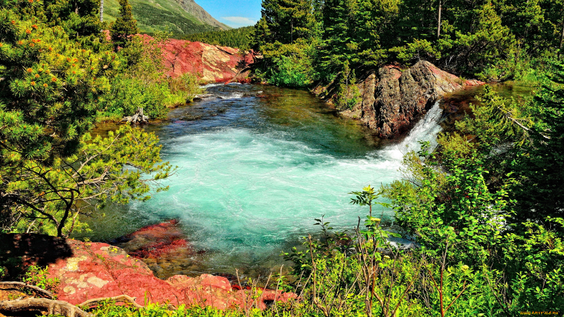 природа, реки, озера, ели, лес, озеро, водопад, трава