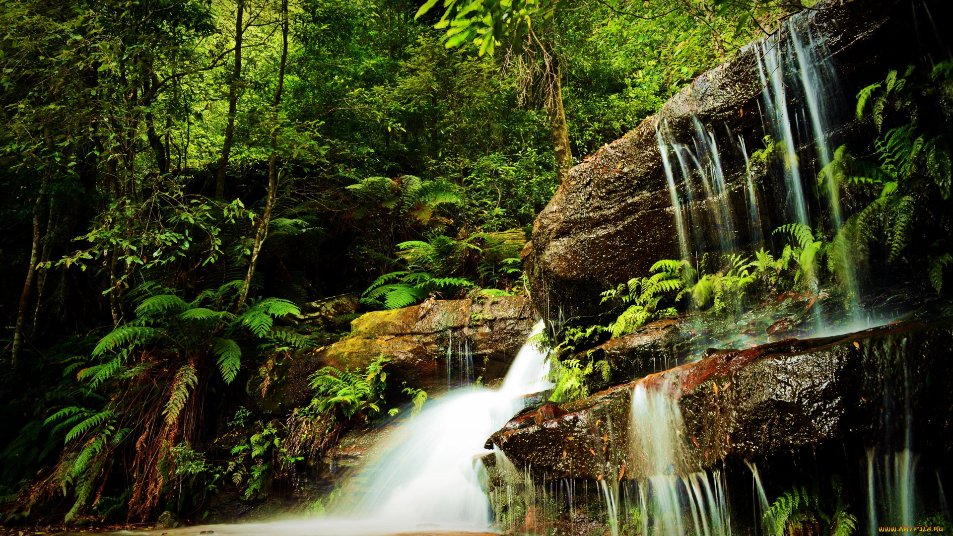 природа, водопады, деревья, лес, скалы, водопад