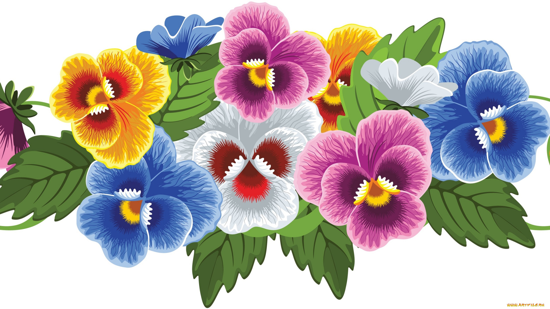 векторная, графика, анютины, глазки