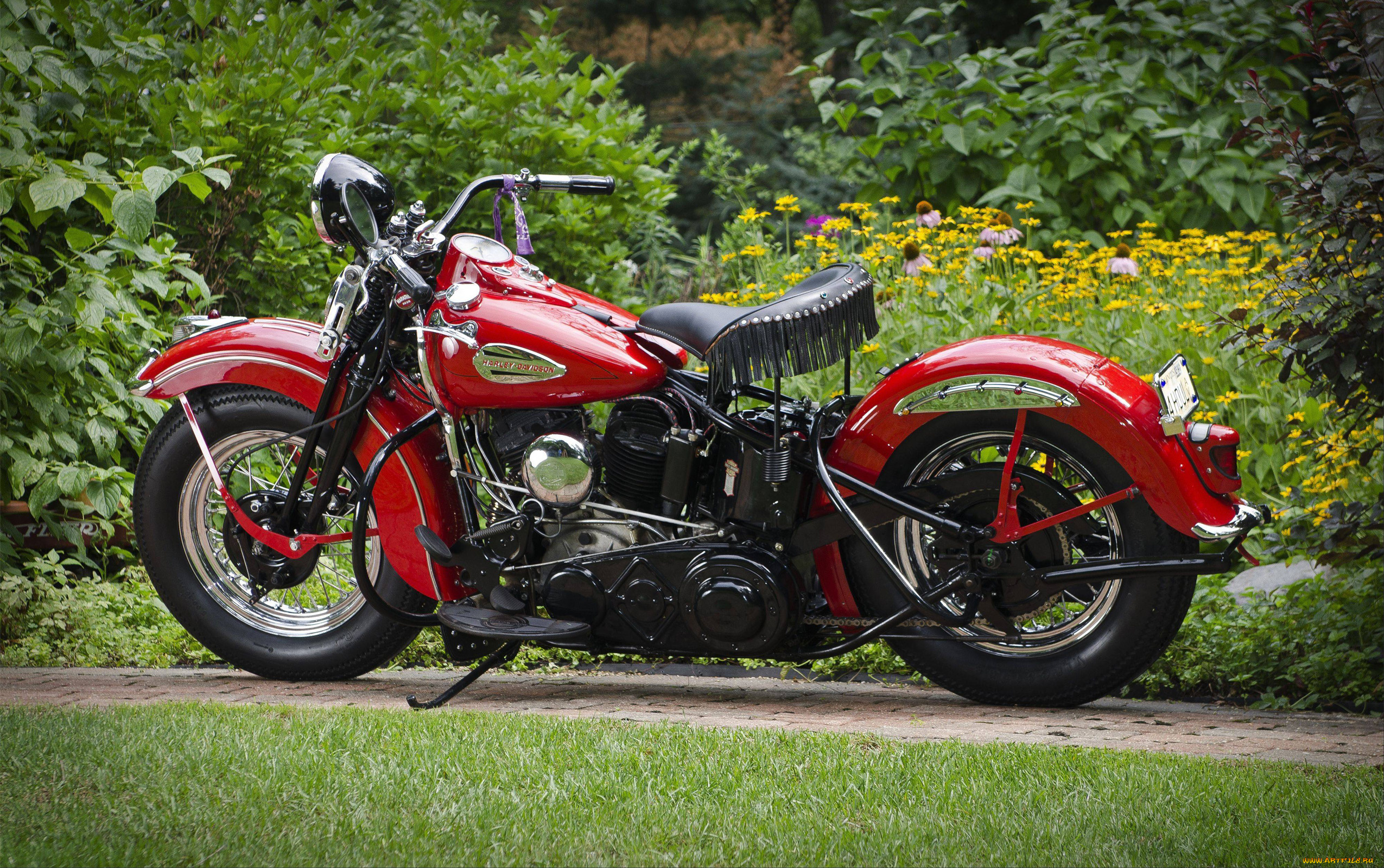 мотоциклы, harley-davidson, harley