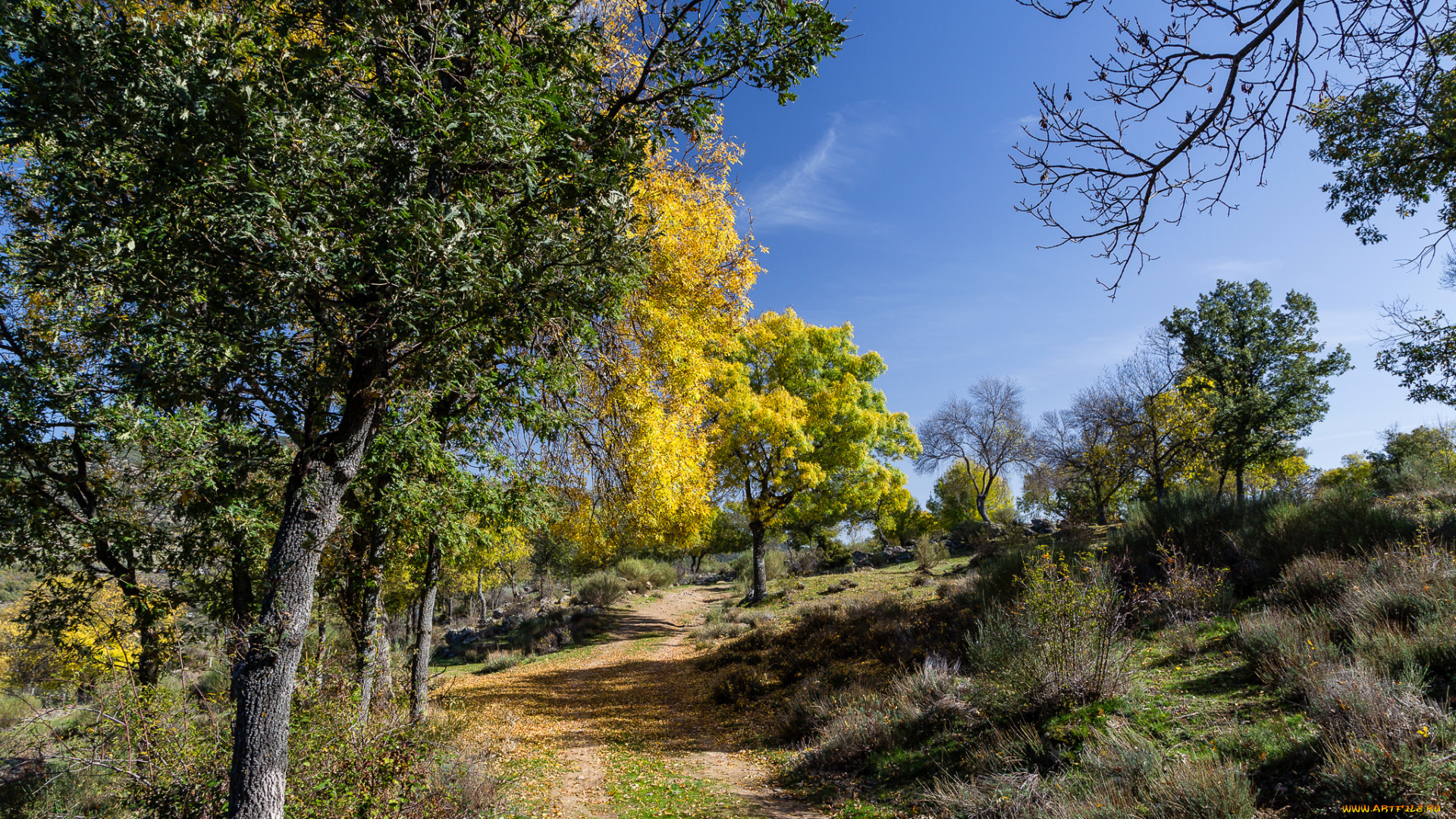 природа, дороги, осень, небо, пейзаж, деревья, дорога, склон