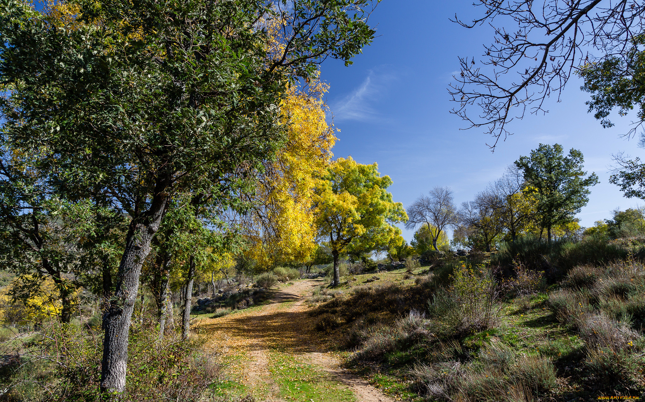 природа, дороги, осень, небо, пейзаж, деревья, дорога, склон