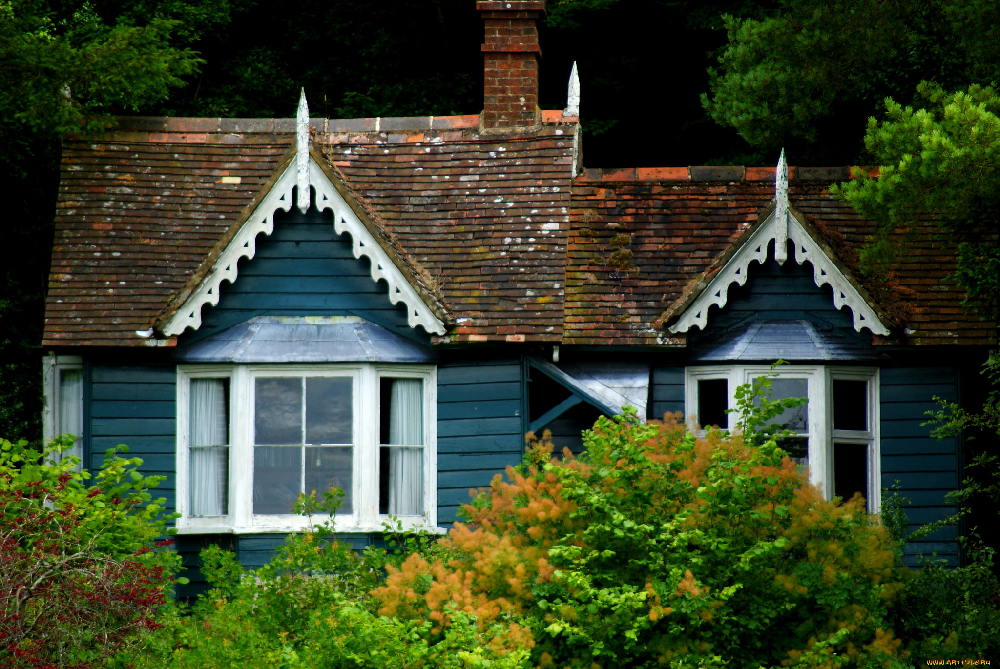 города, -, здания, , дома, растения, дом