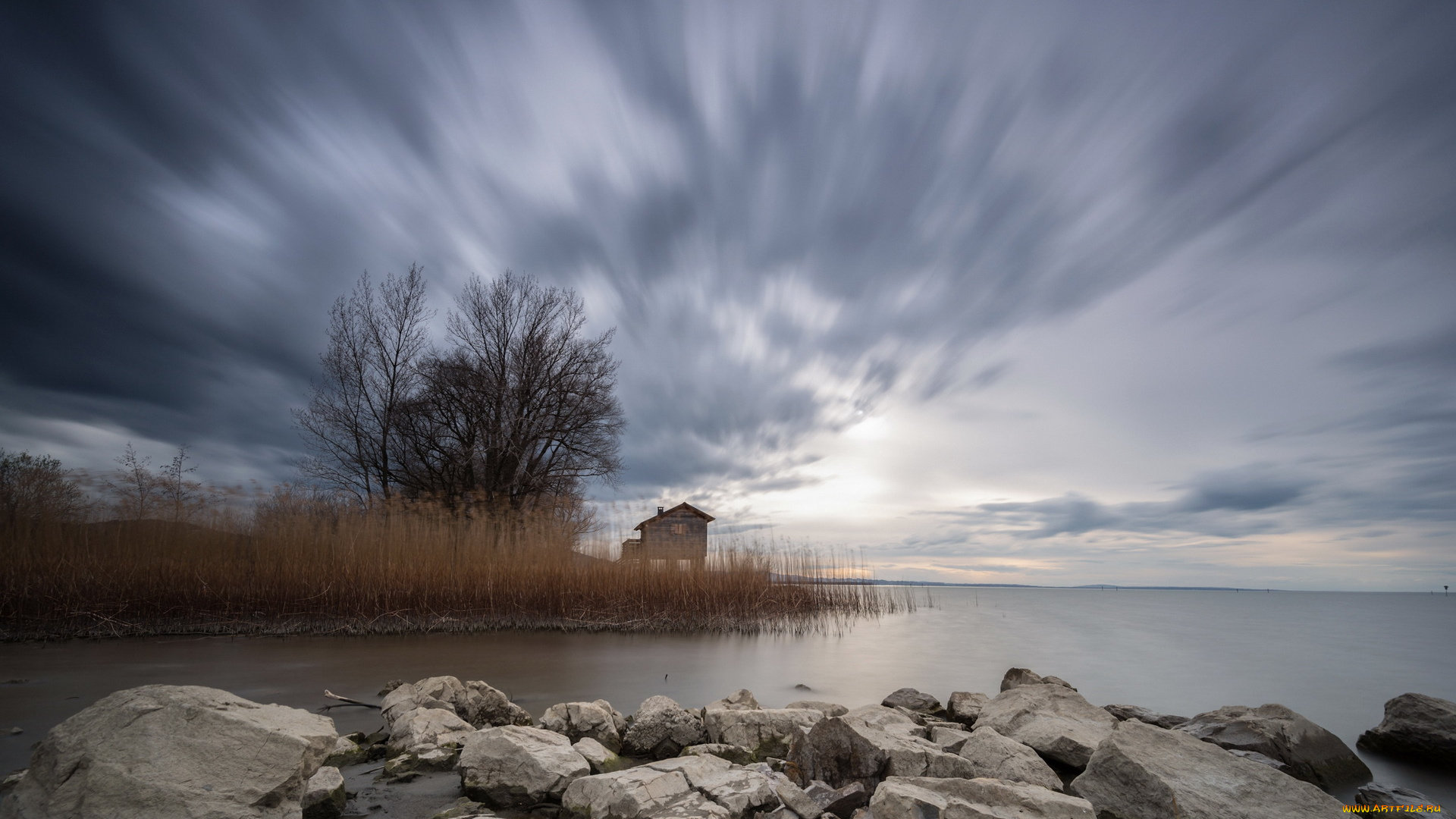 природа, побережье, озеро, камыш, домик, пейзаж