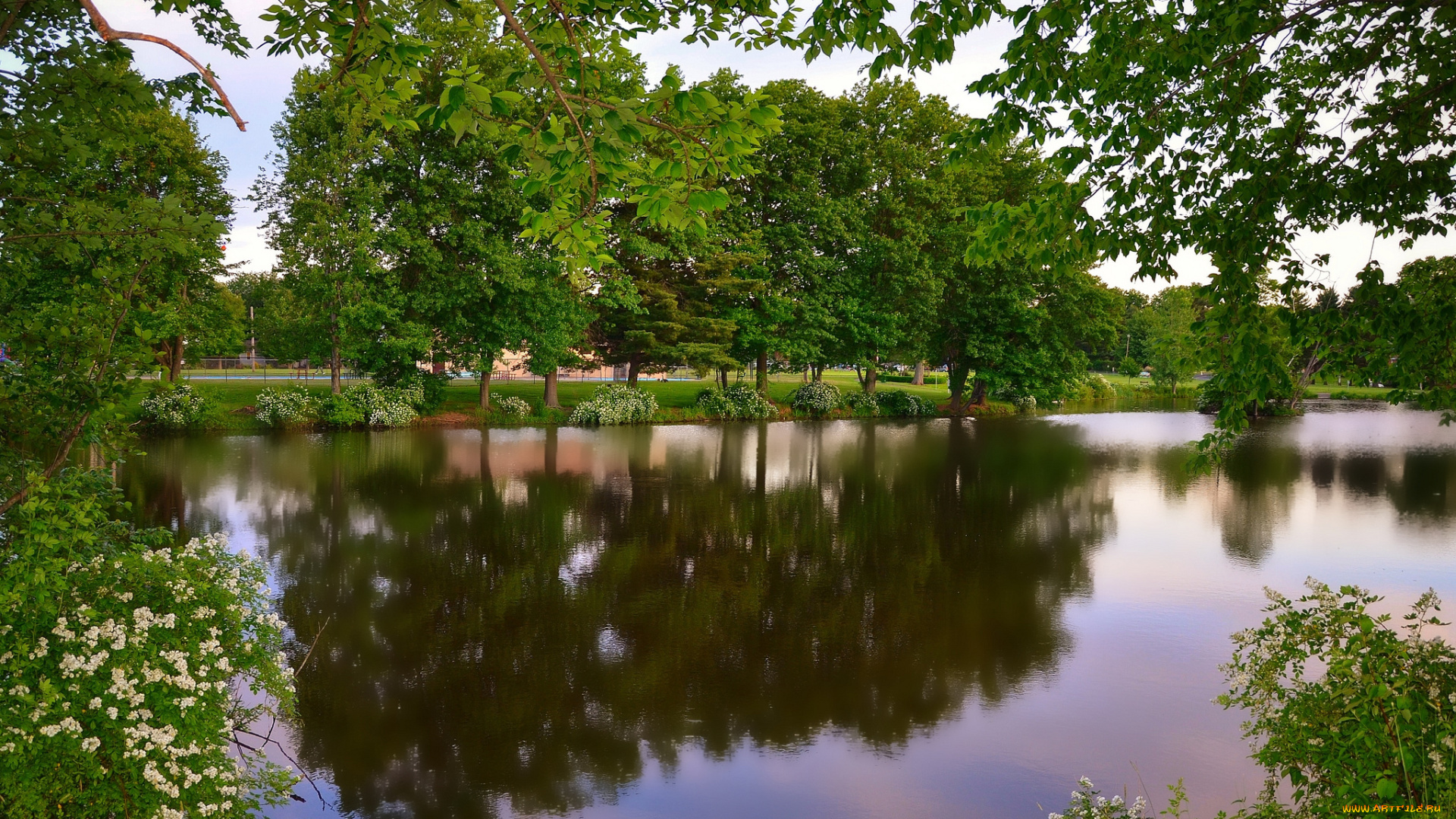 природа, реки, озера, лес, река