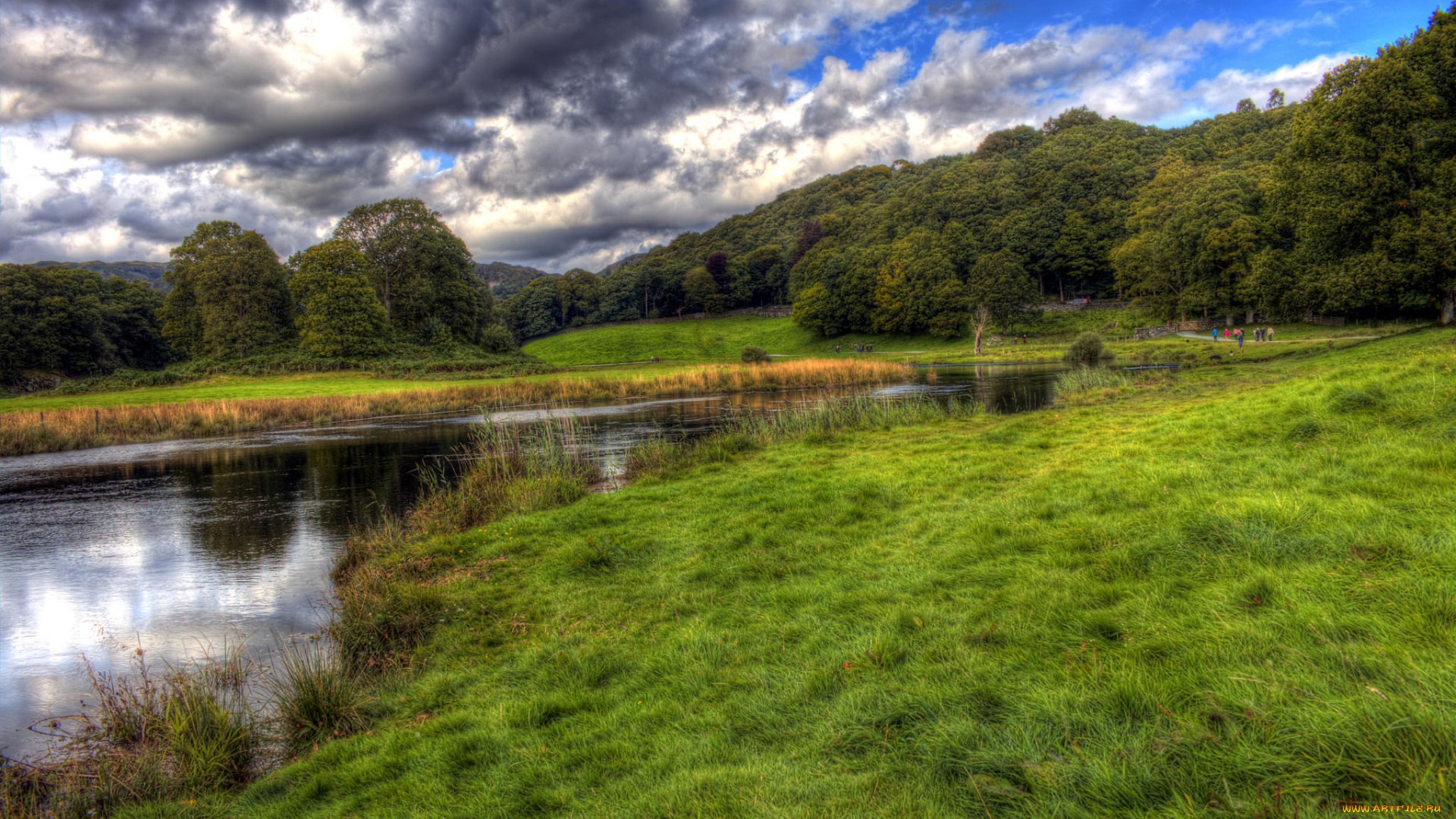 природа, реки, озера, лес, река