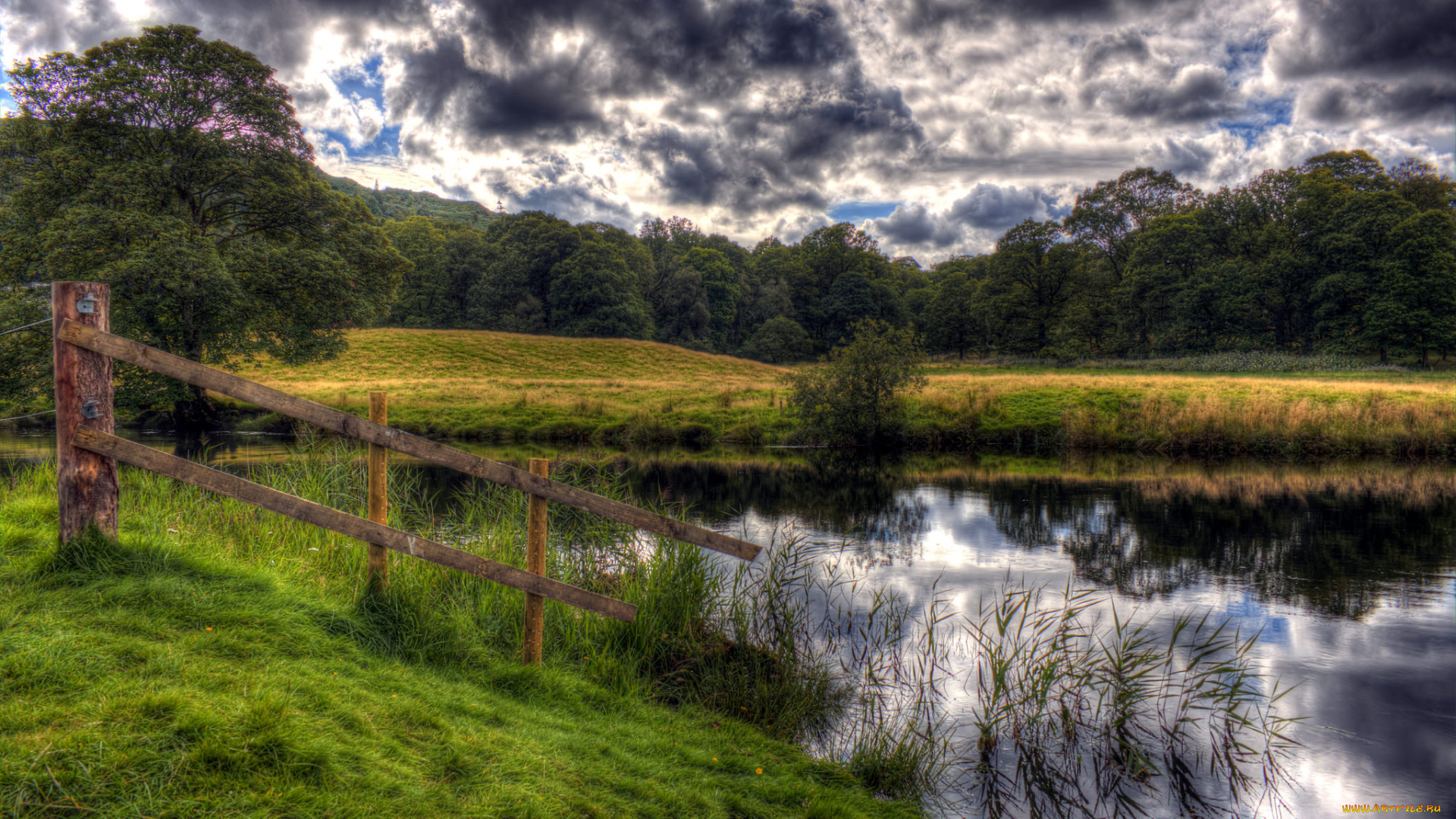 природа, реки, озера, лес, река